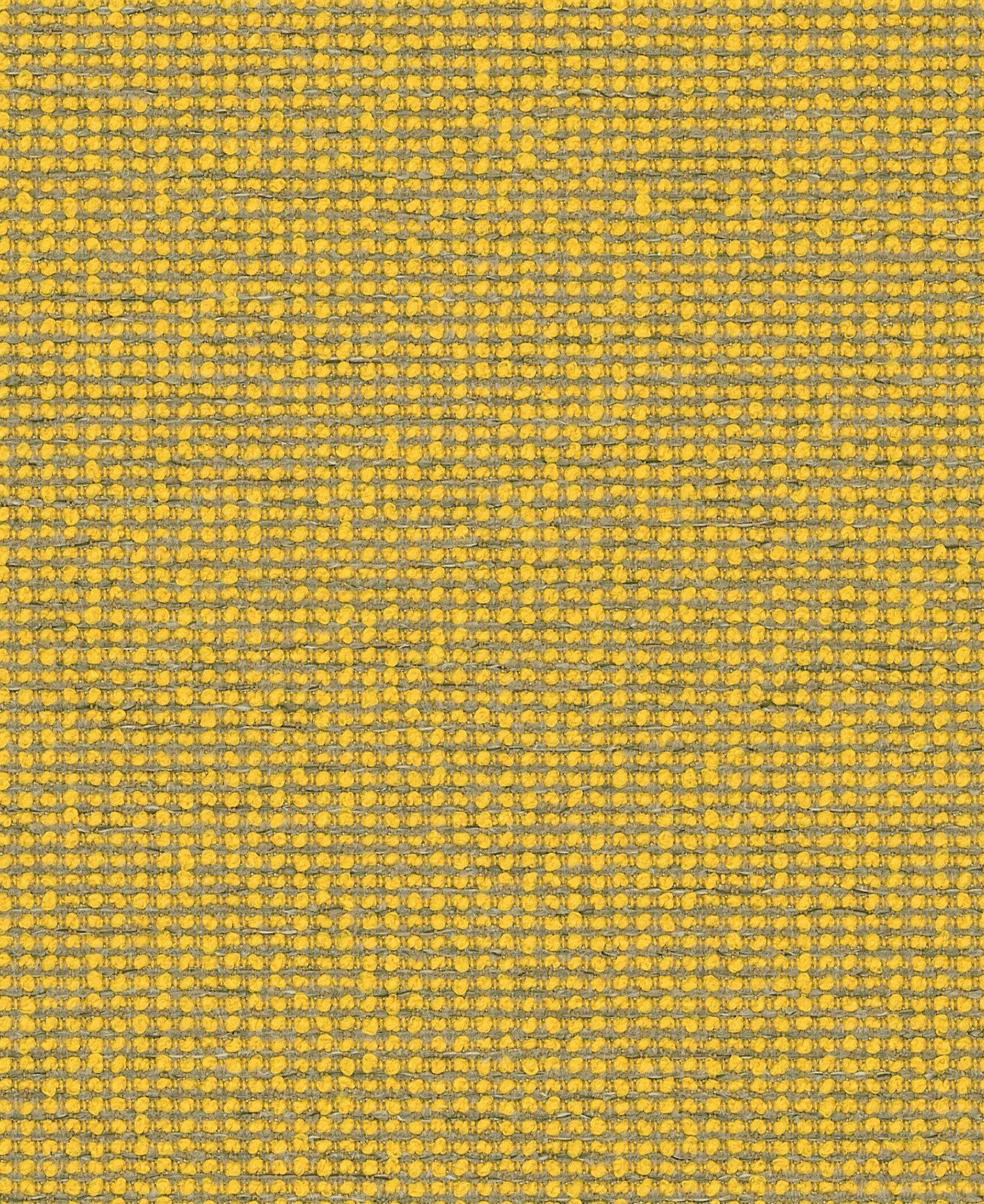 Form Canary