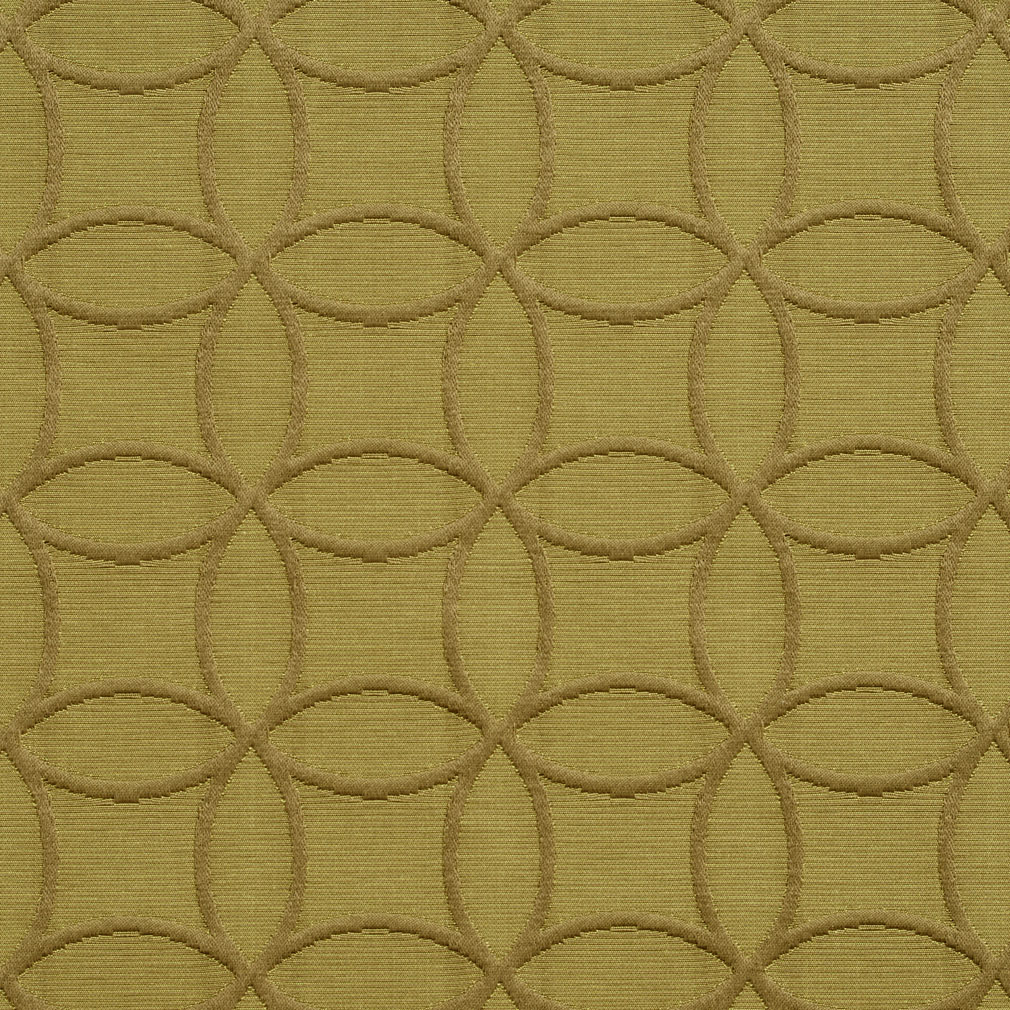 HB80179 Olive