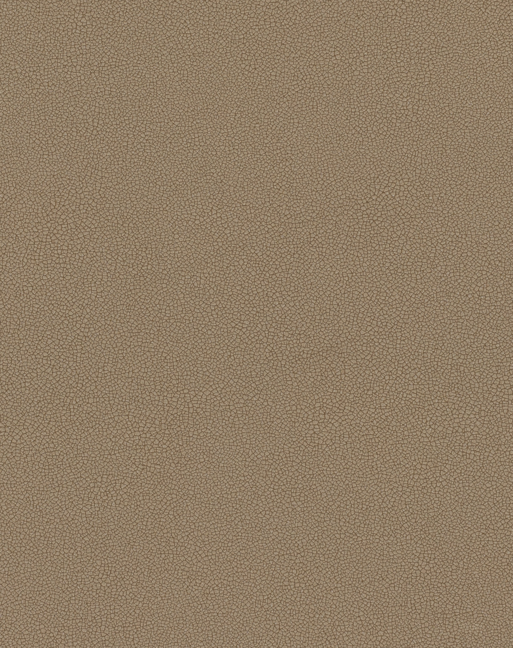 Gaia Bronze
