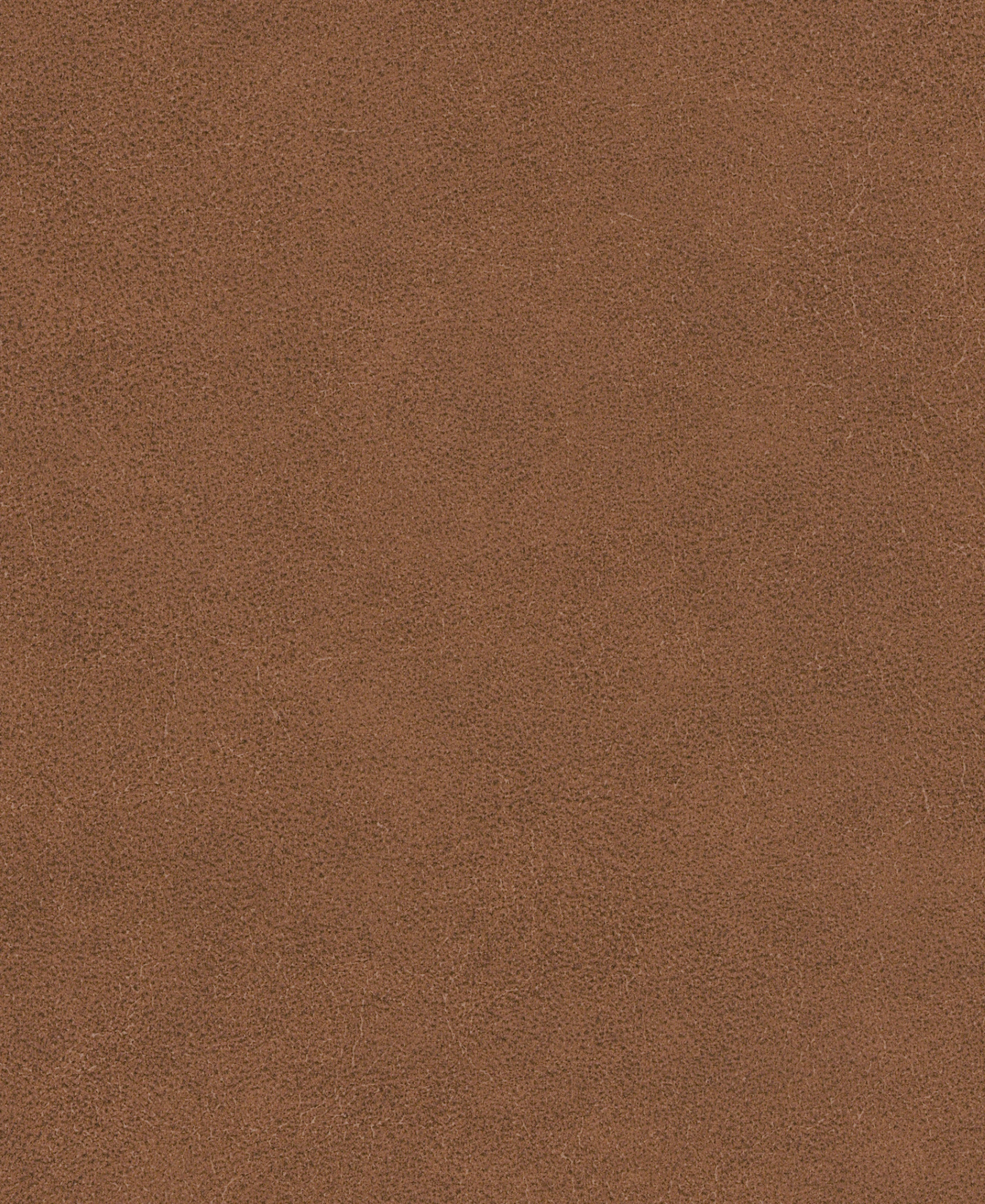 Galveston Ground