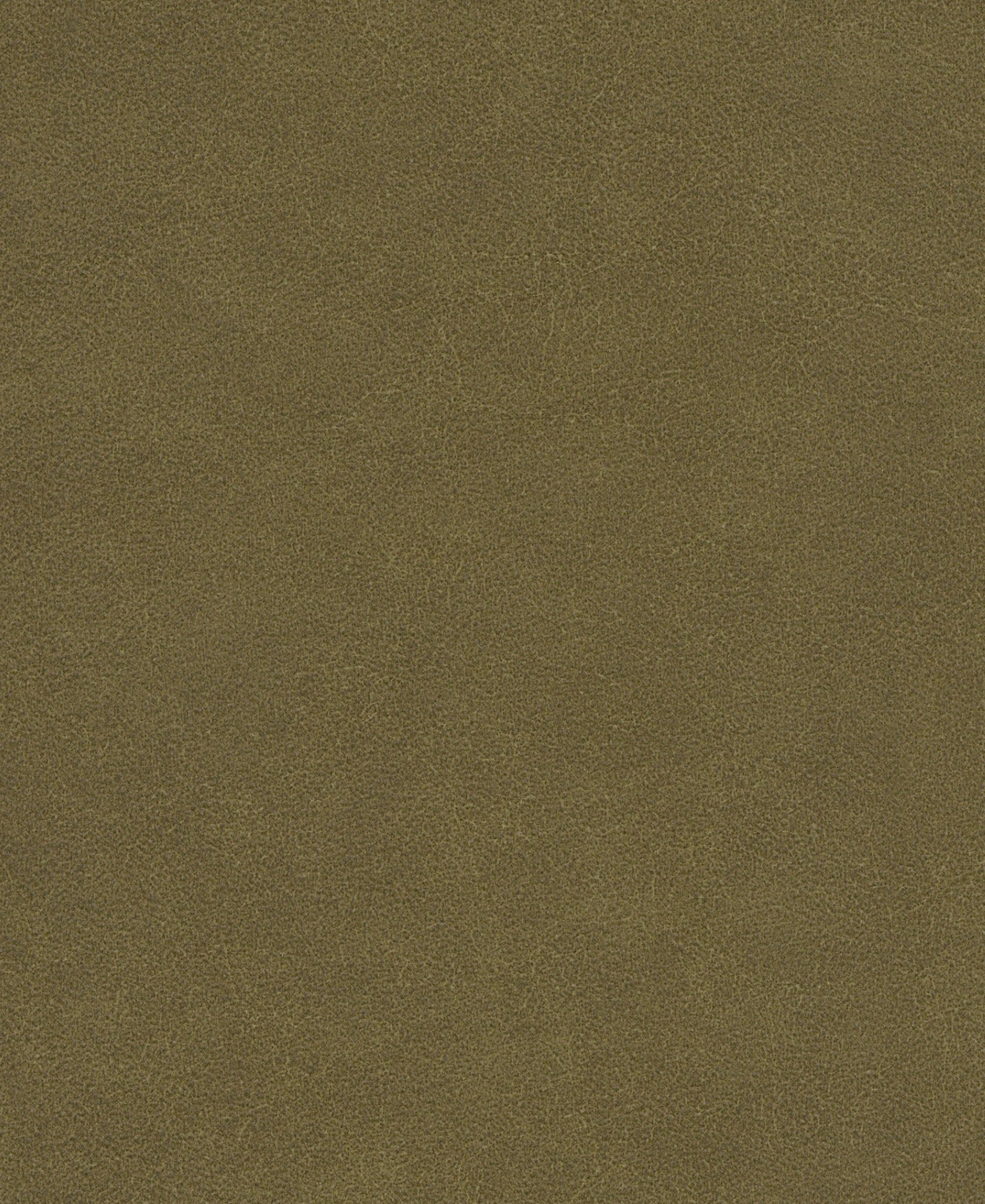 Galveston Peat