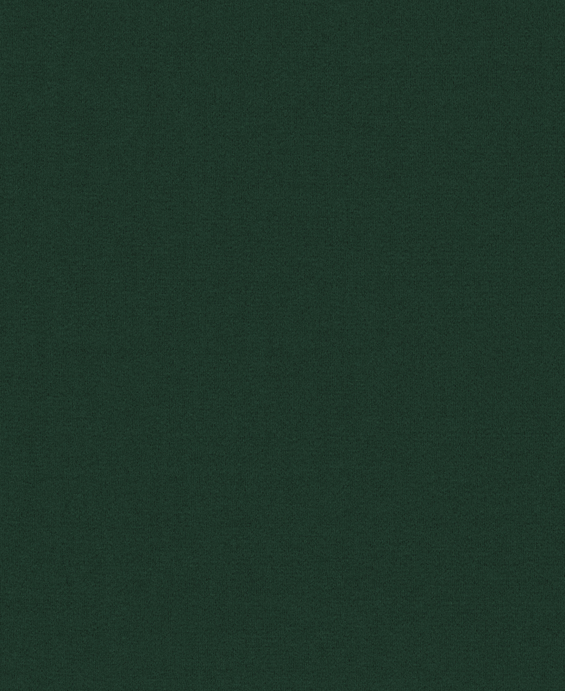 Gem Pine