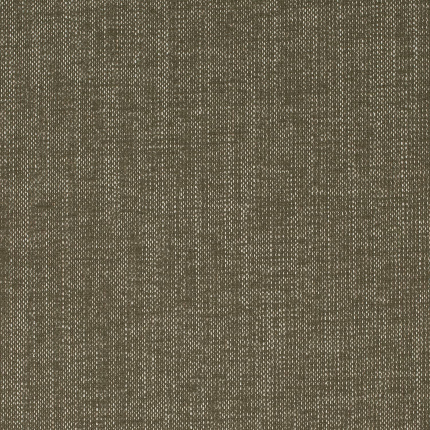 HF80185 Moss