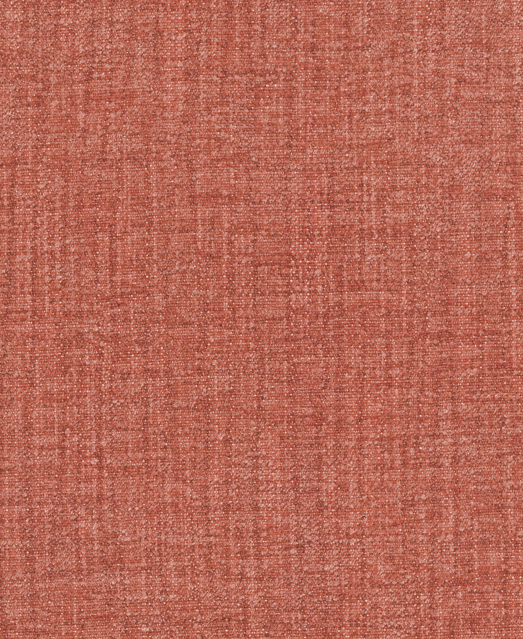 Haven Coral