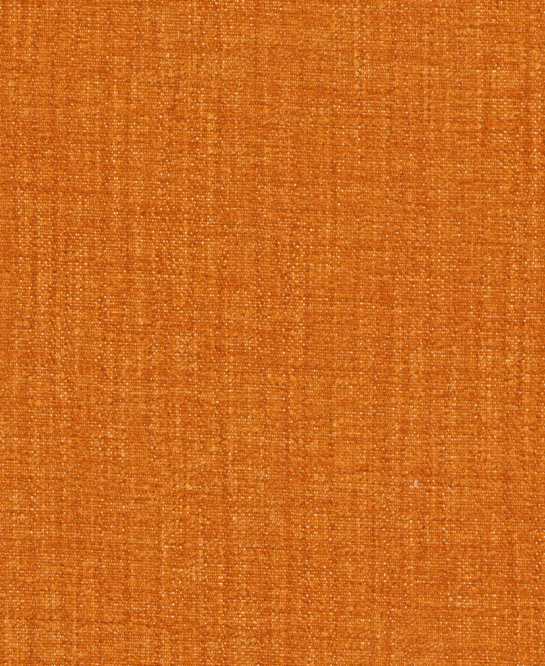 Haven Apricot