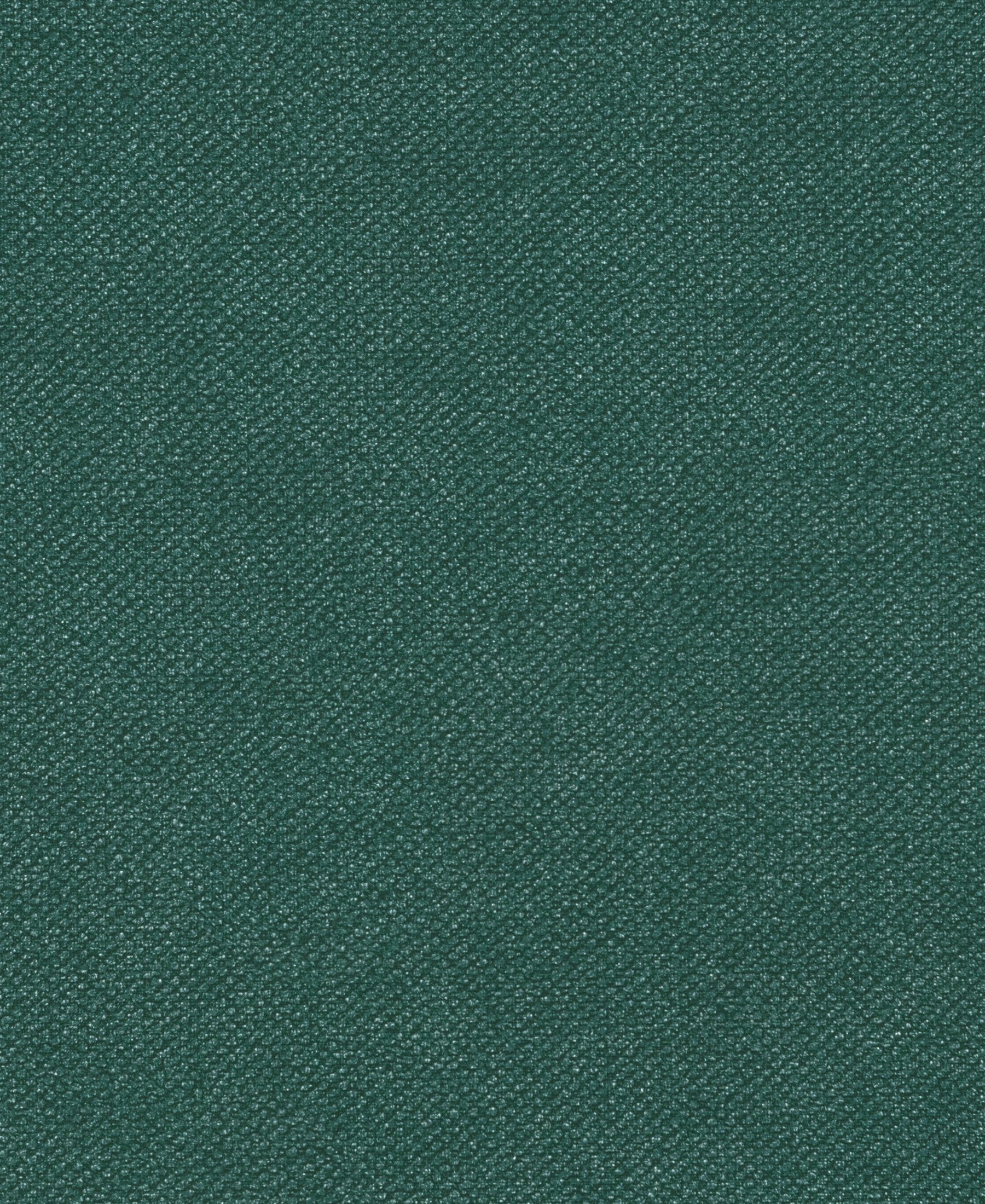 Icon Spruce