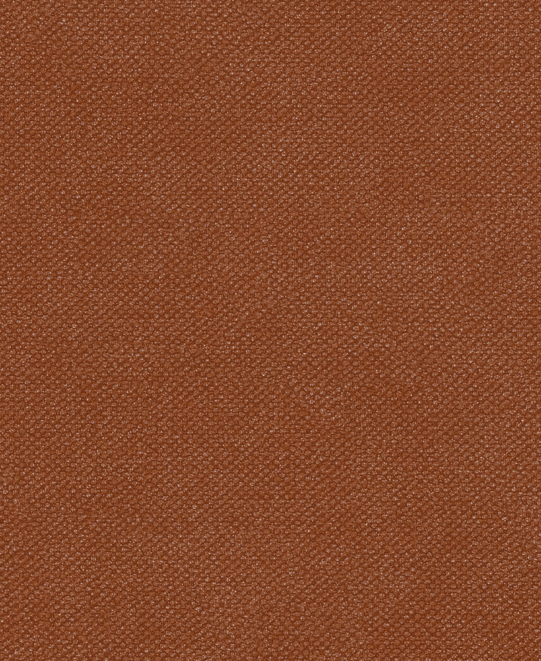 Icon Terra