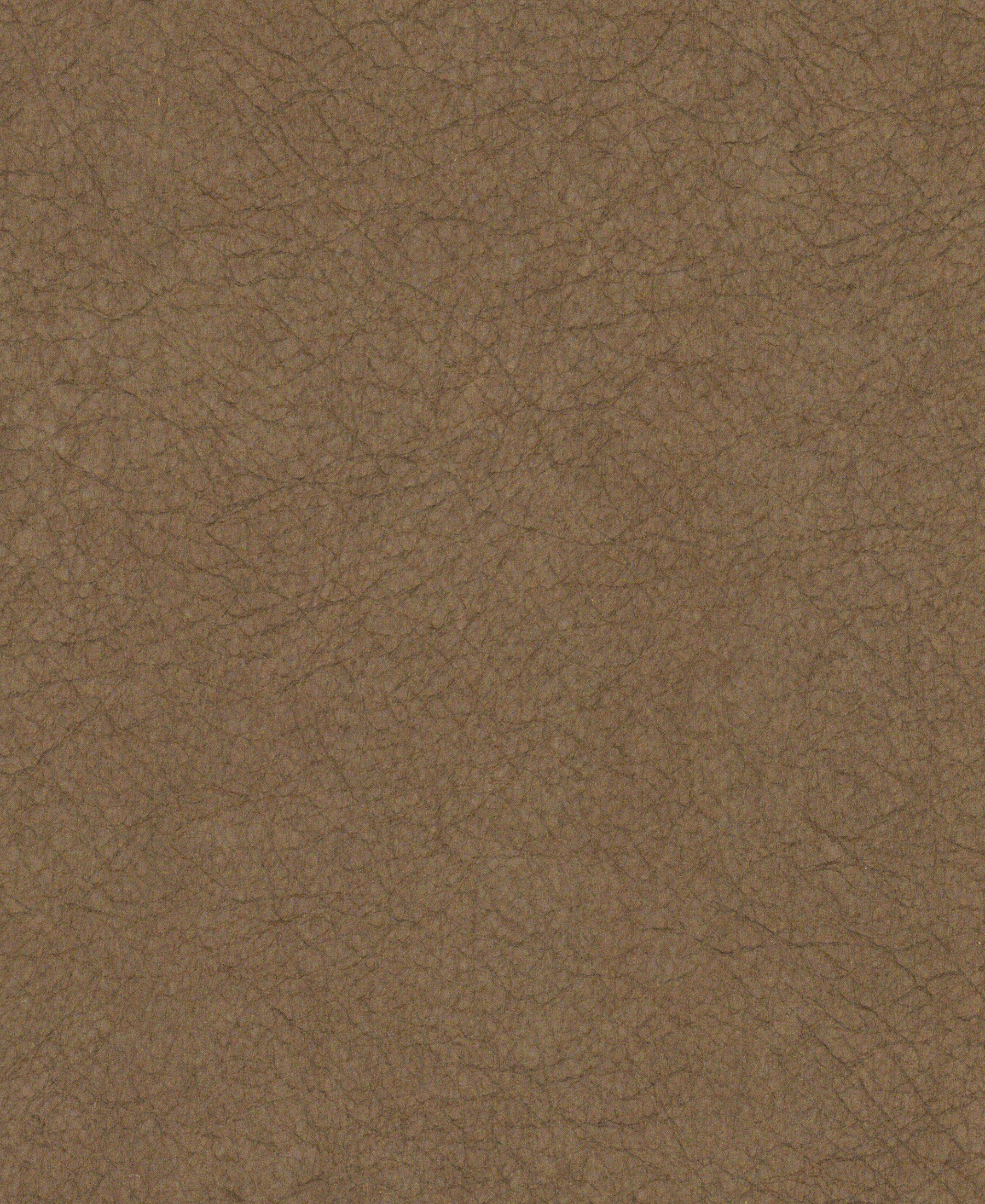 Imprint Carmel