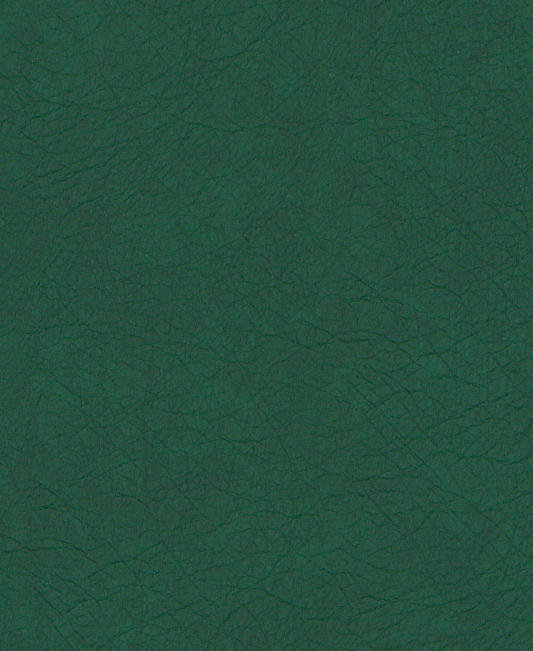 Imprint Evergreen