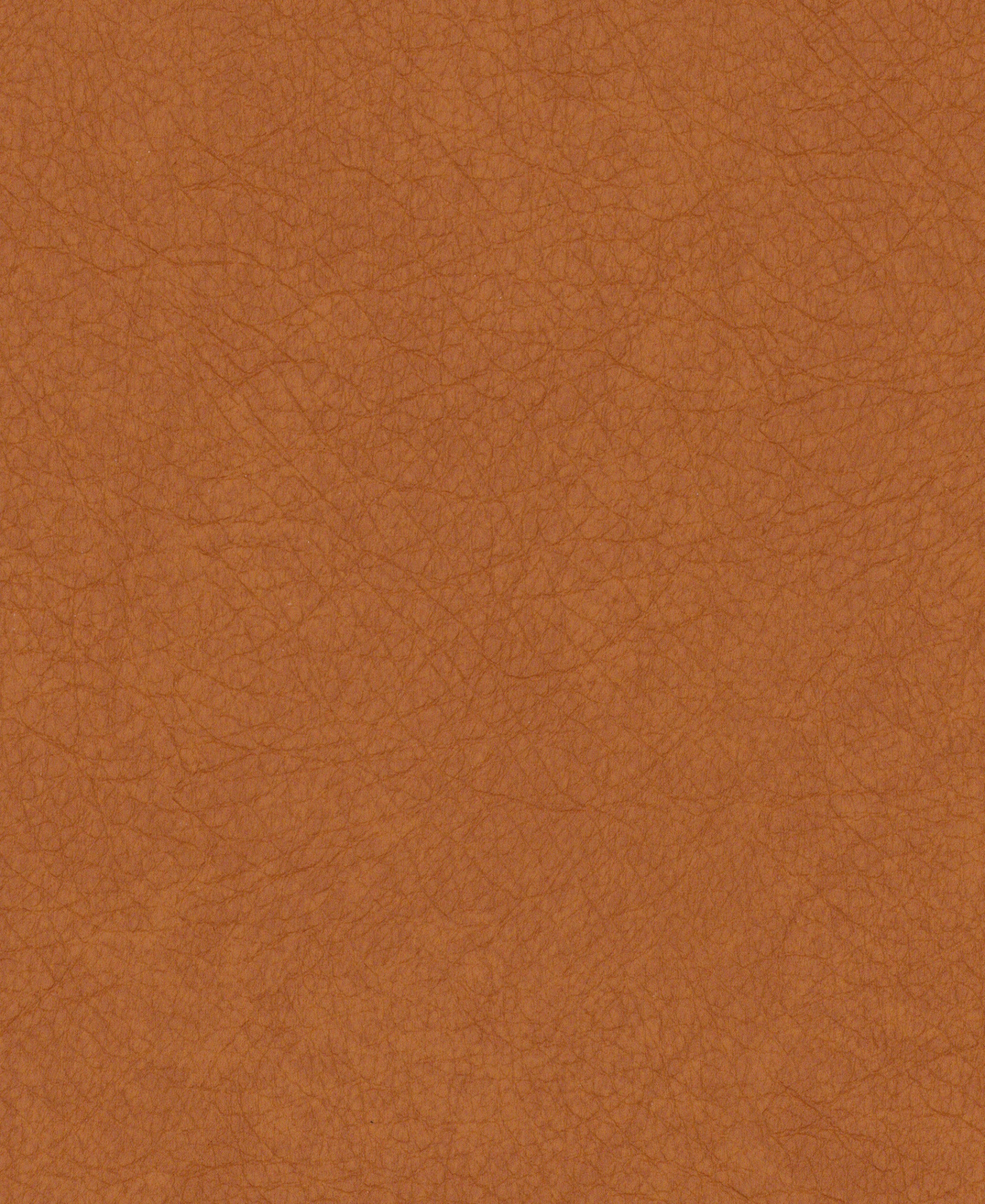 Imprint Pumpkin
