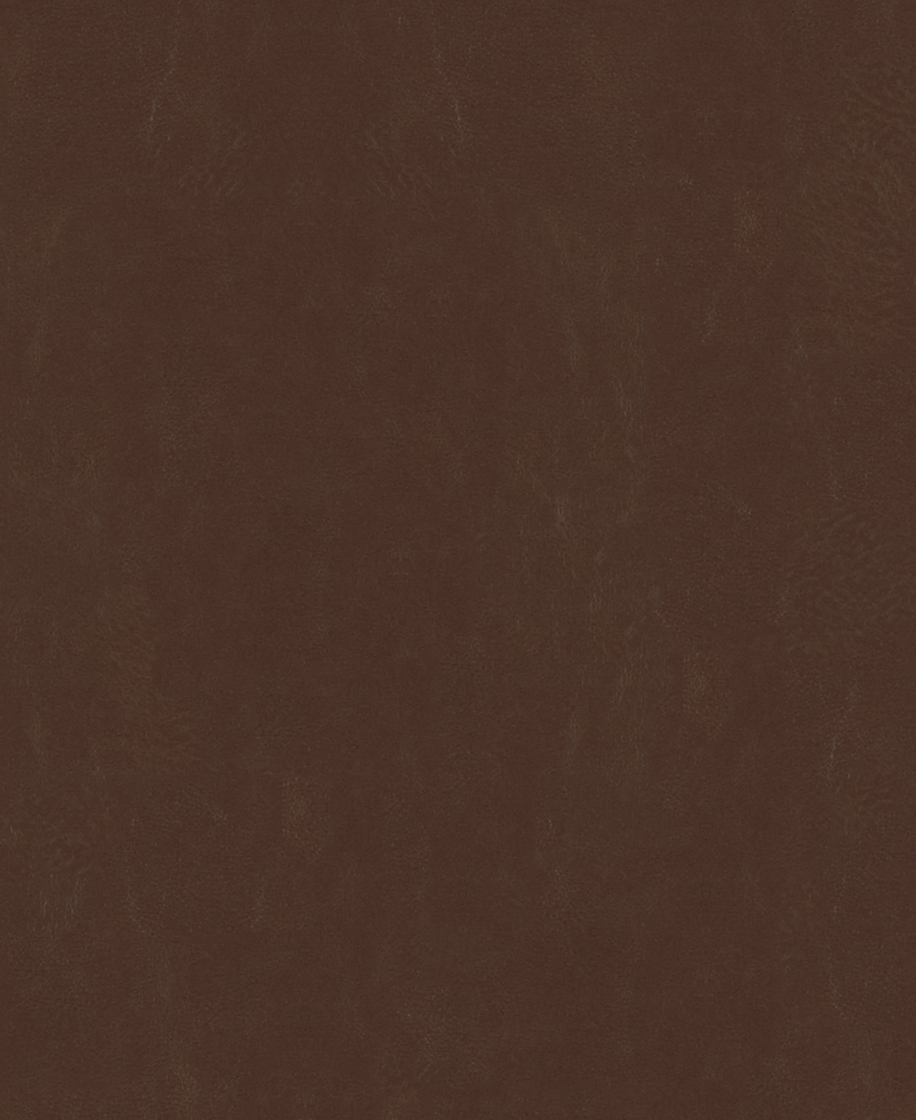 Jekyll & Hyde Umber