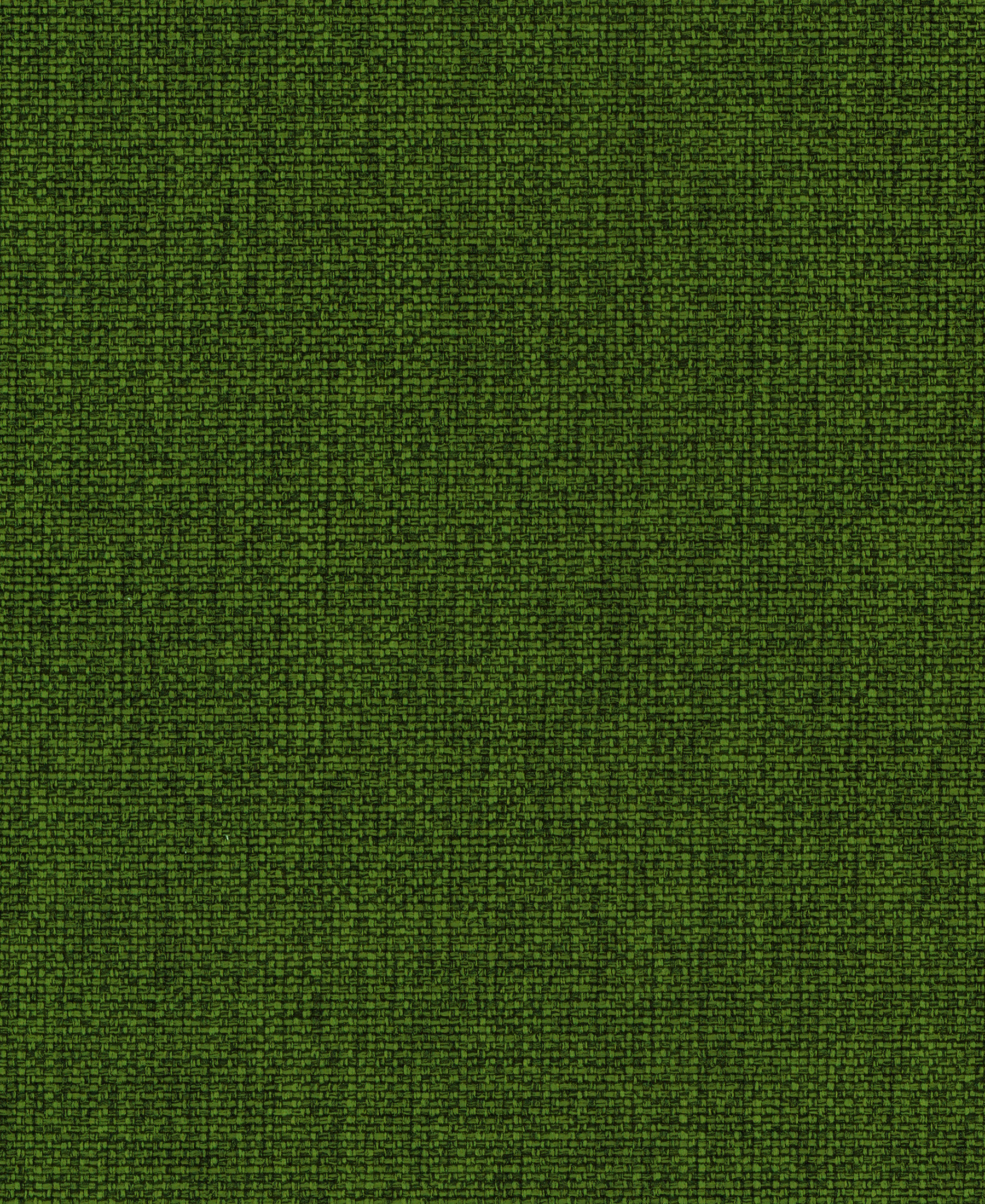 Legacy Spruce