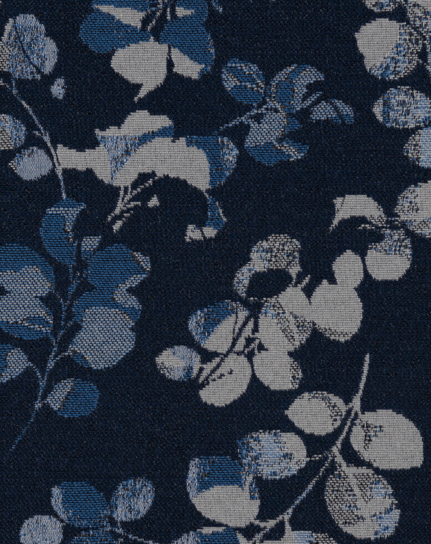 Leoni Blueberry