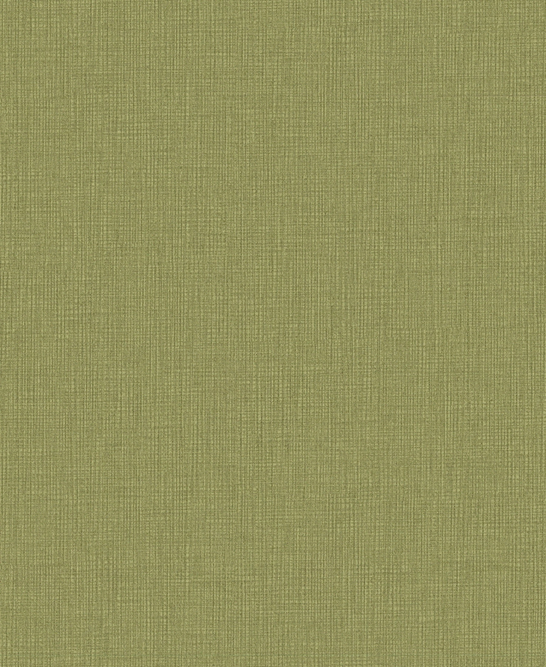 Matter Fern