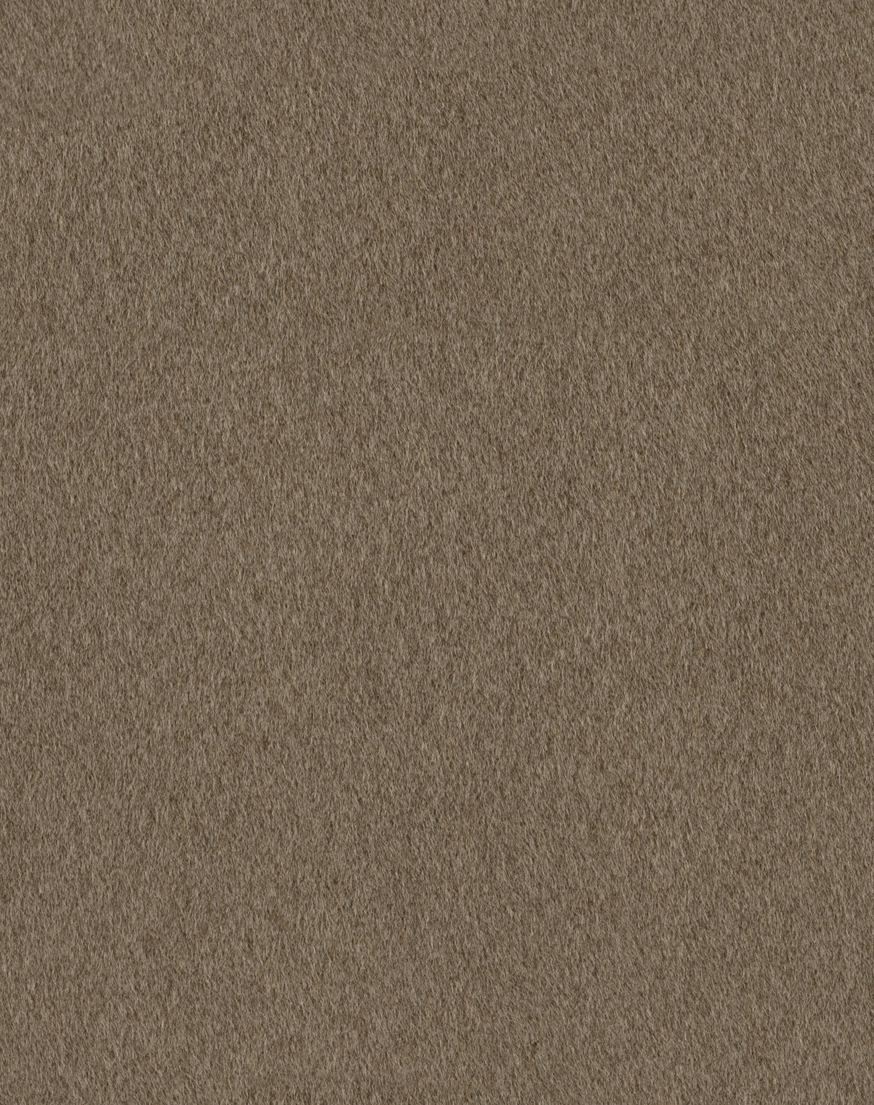 Mercer Fawn
