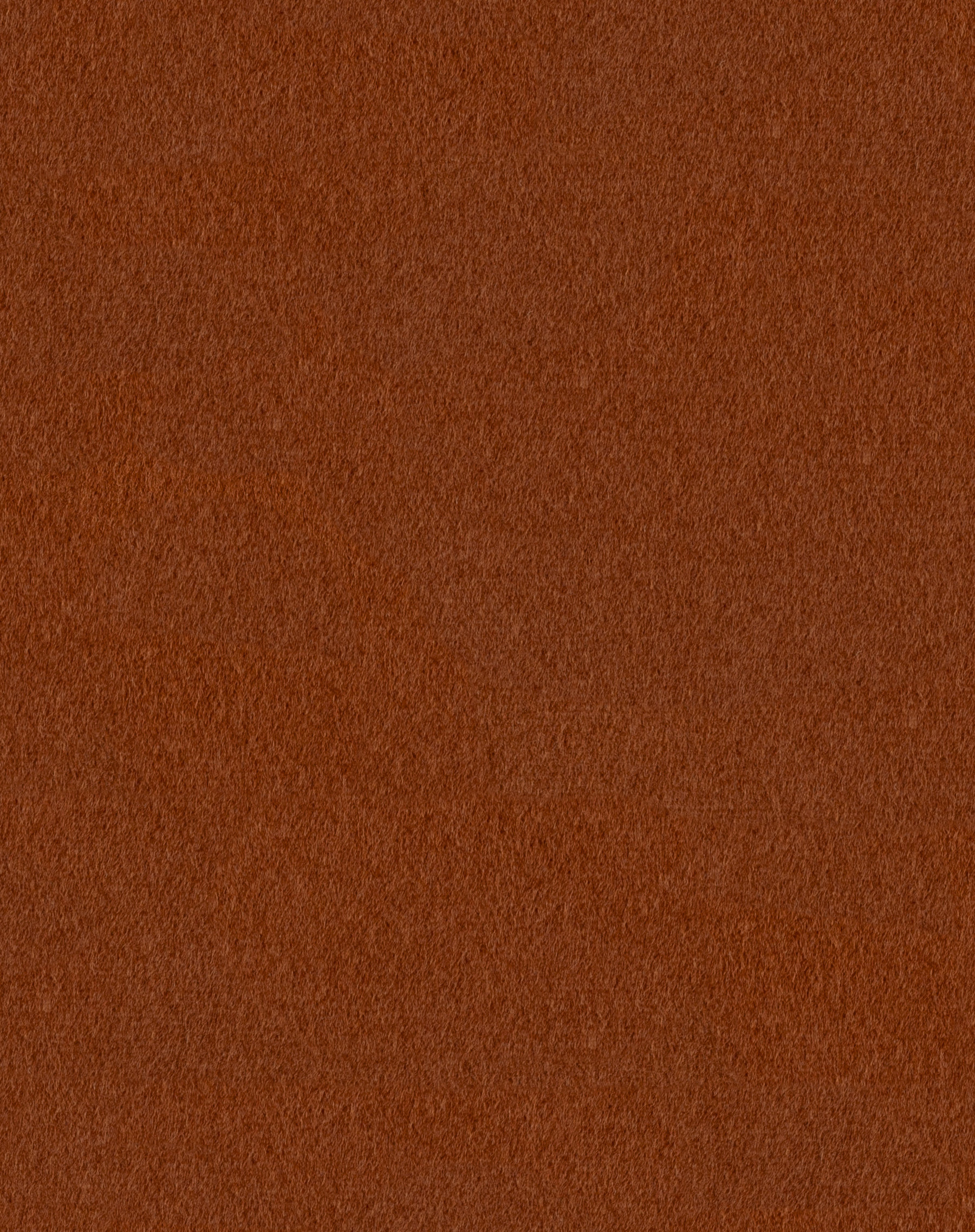 Mercer Tawny