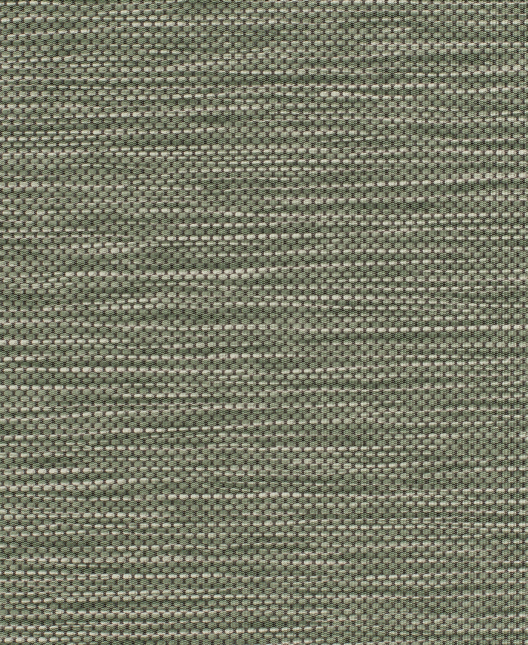 Midway Moss