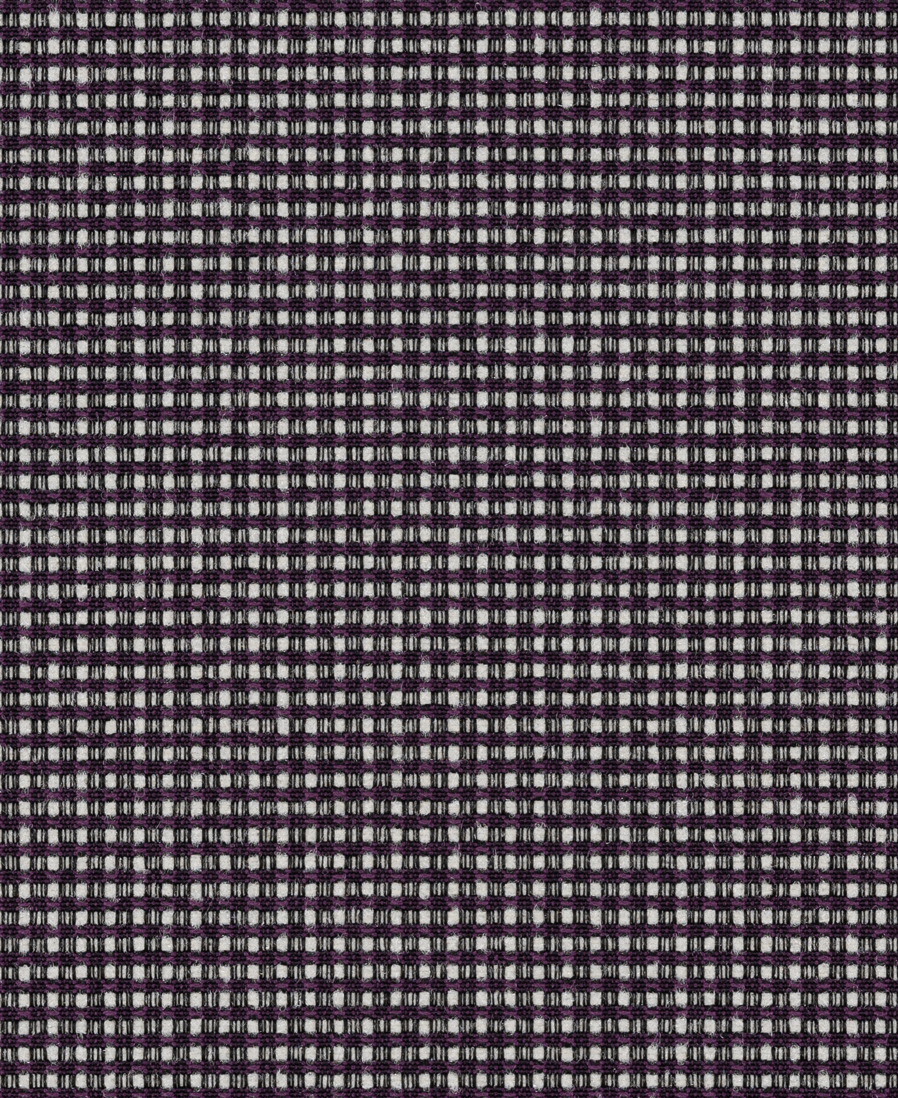 Mira Grape
