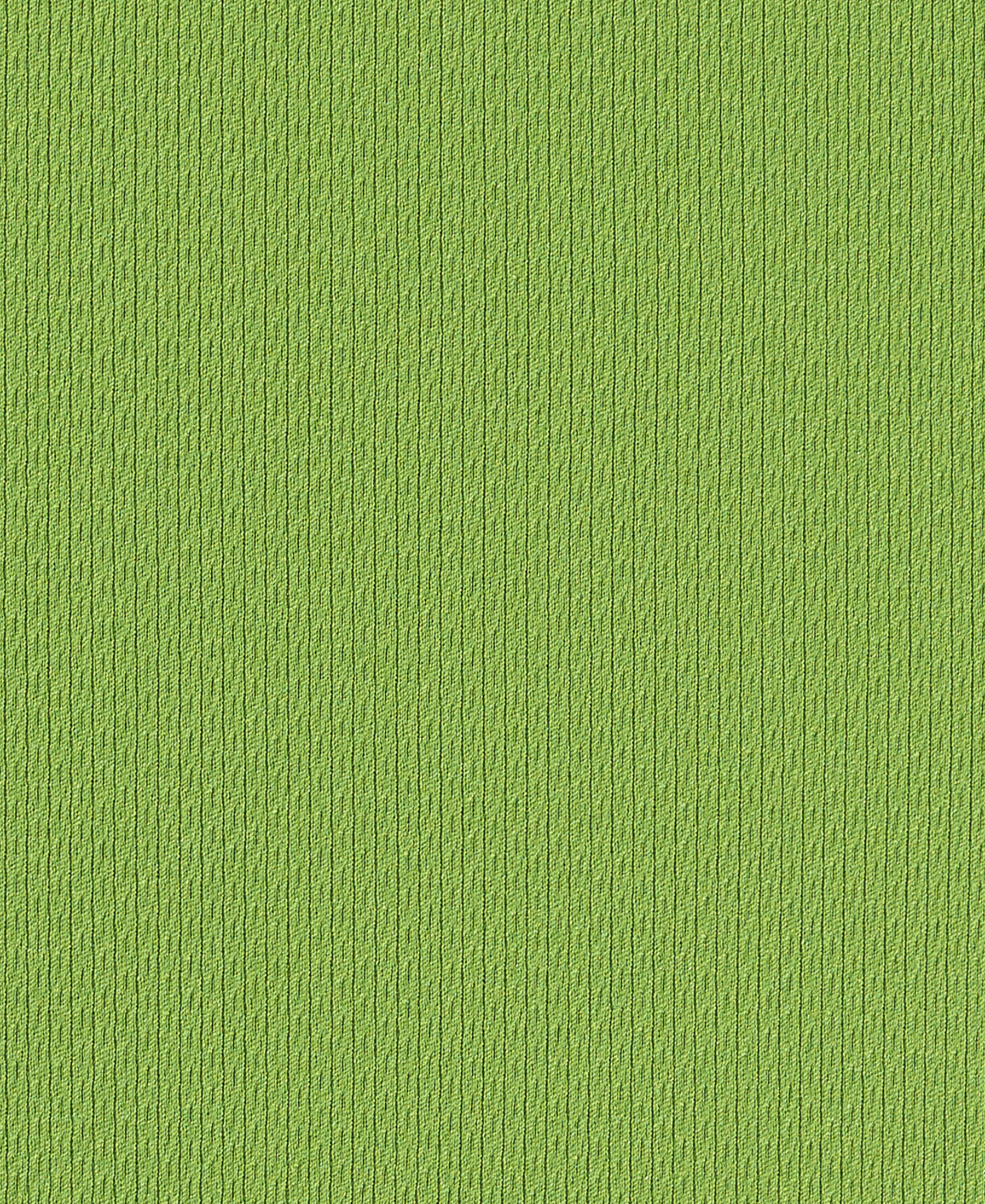 Moonscape Grass