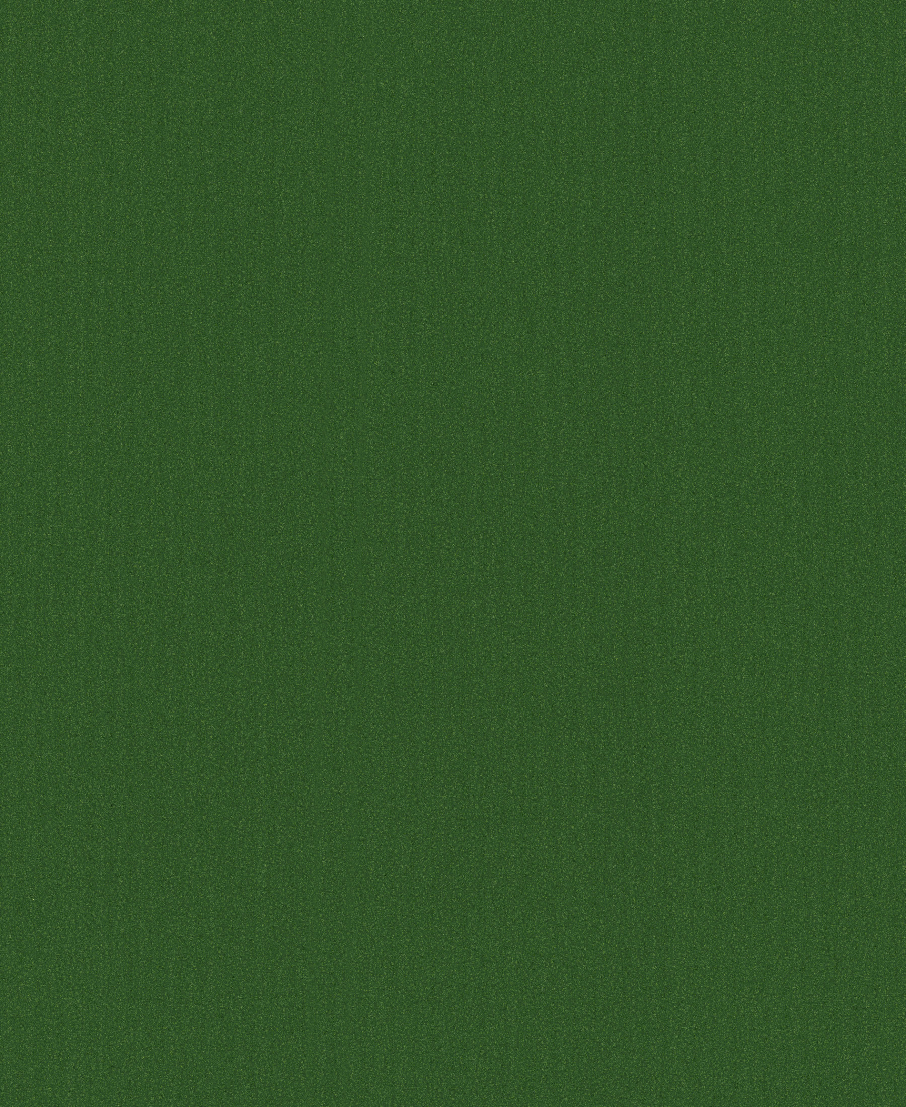 Neo Grass