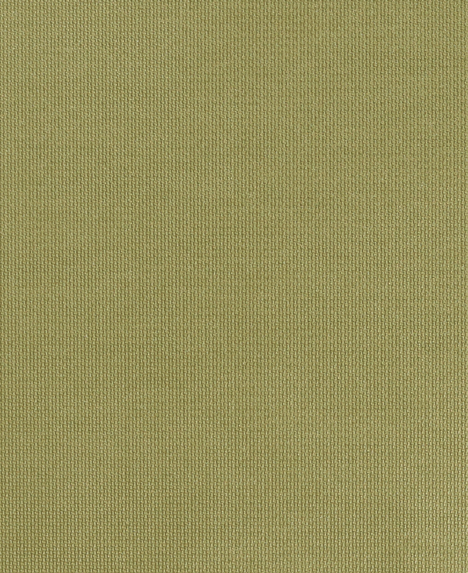 Niche Fern