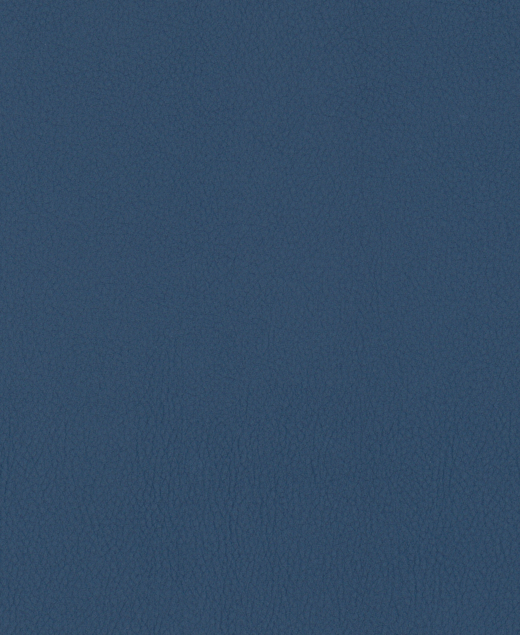 Noble Indigo