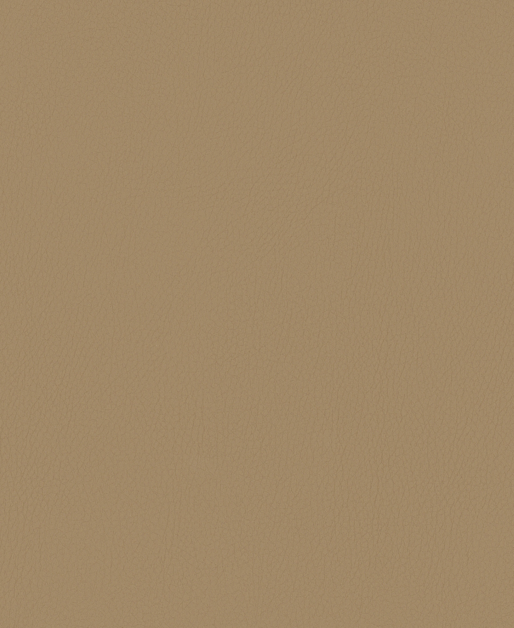 Noble Camel