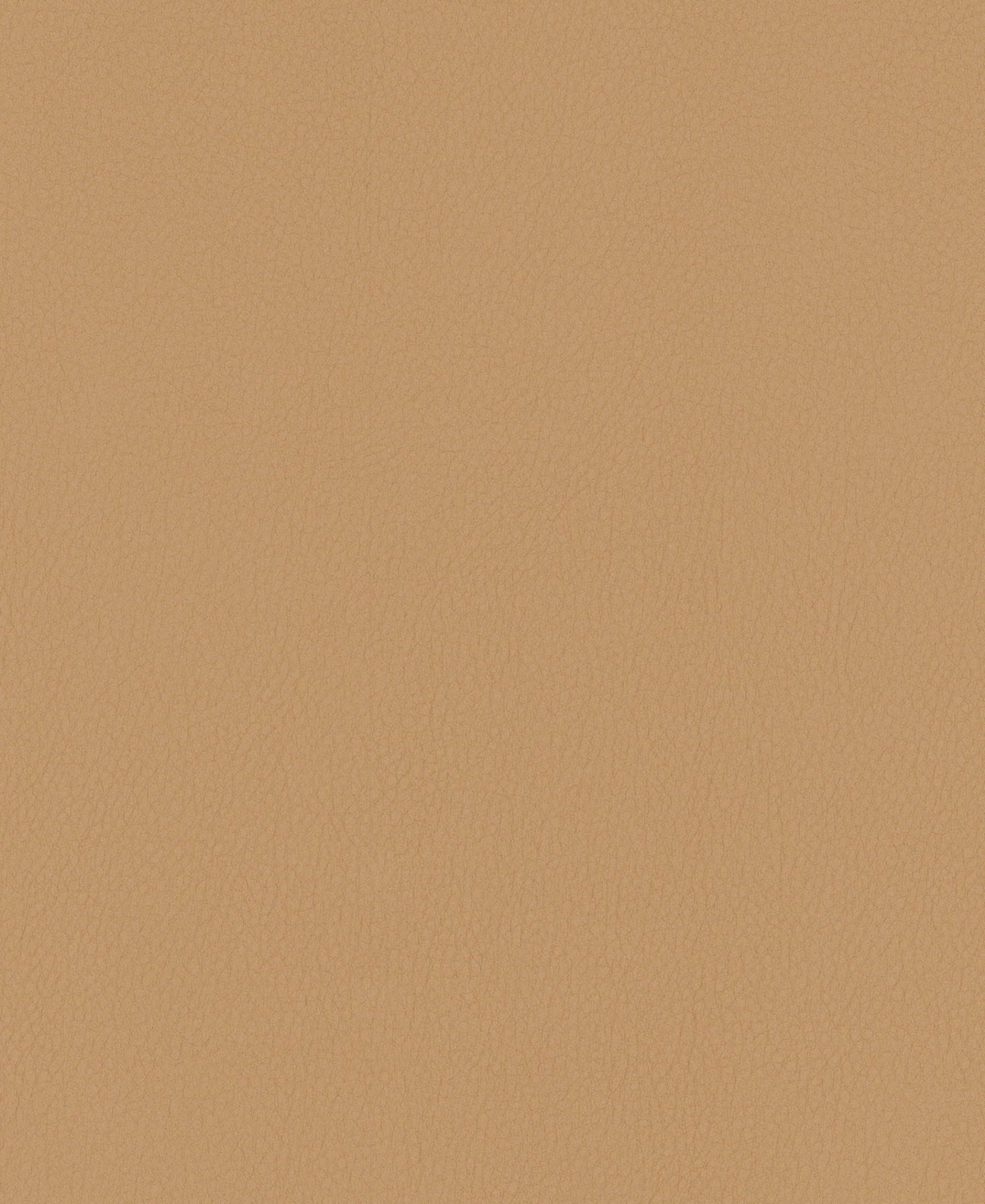 Noble Rattan