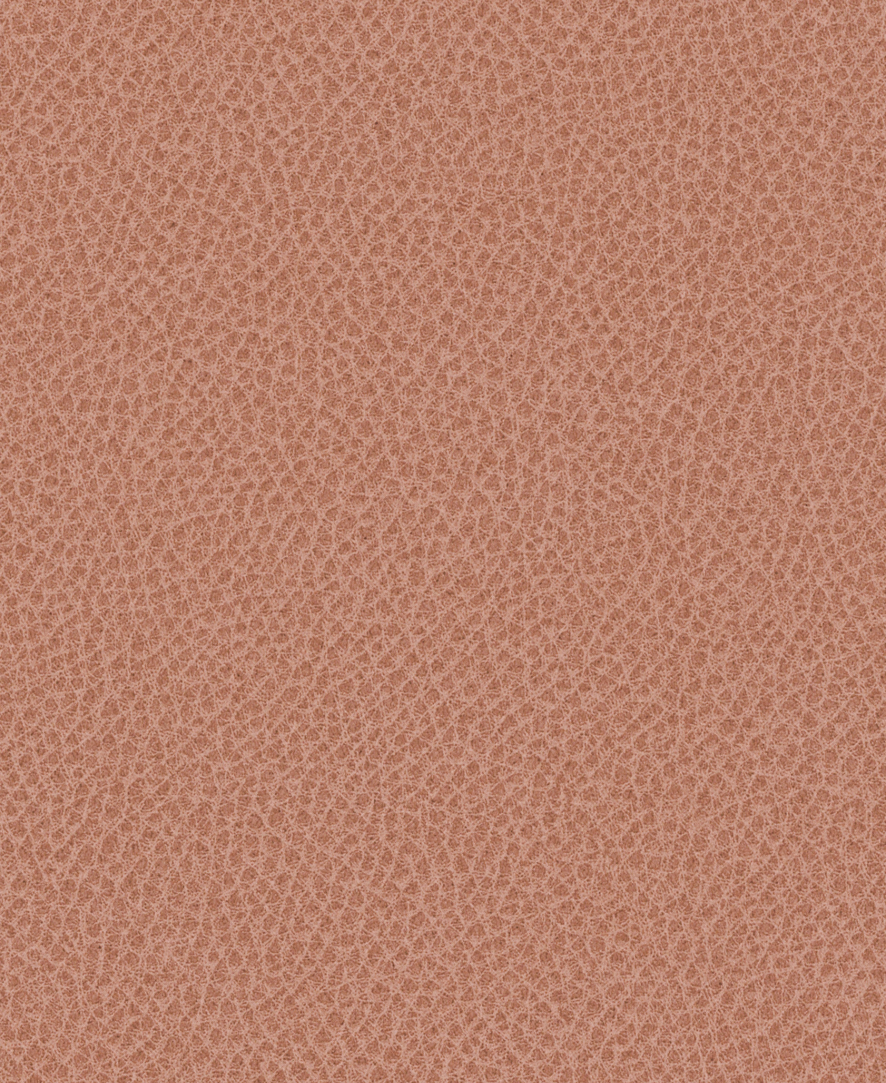 Nomad Blush