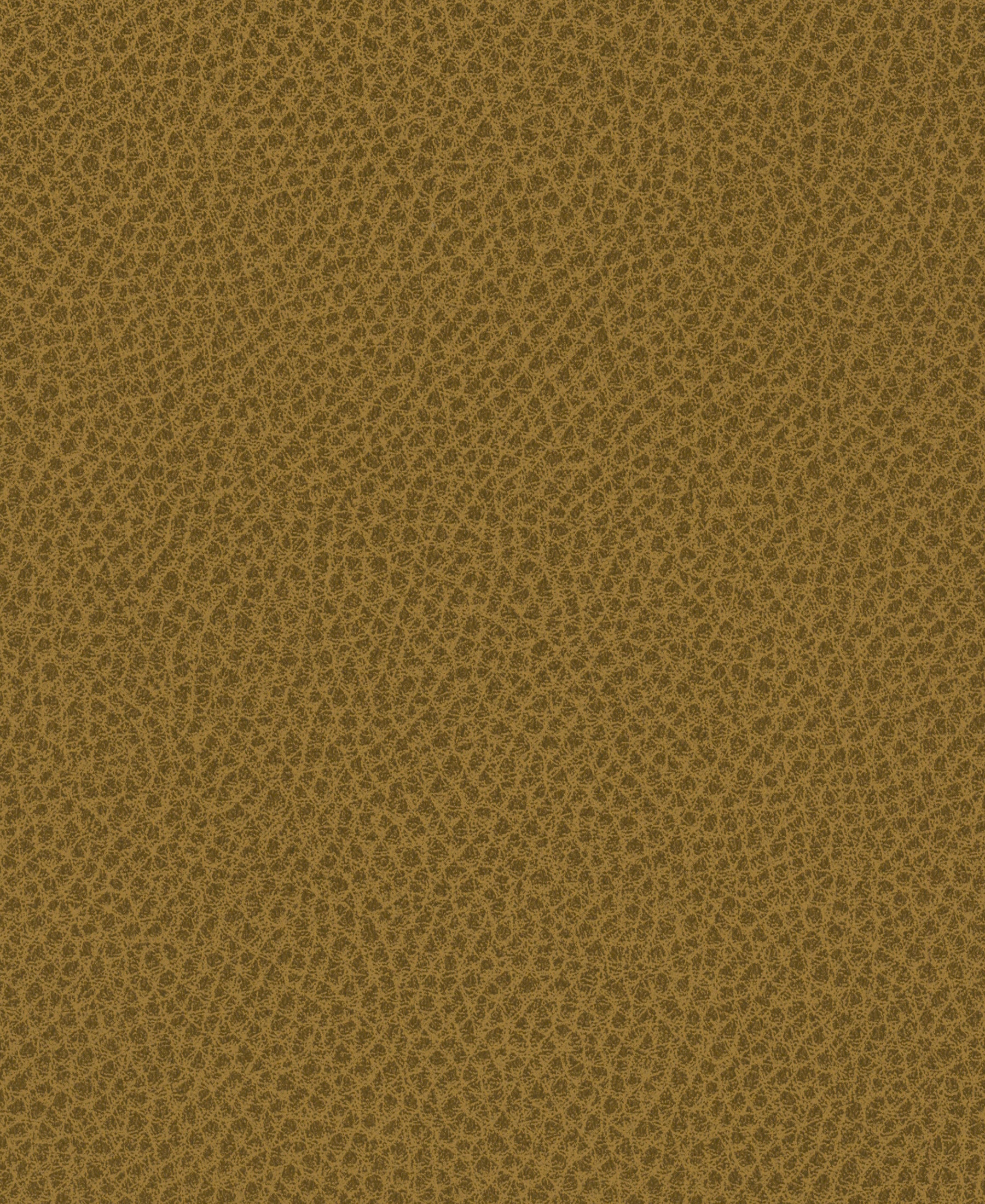 Nomad Caramel