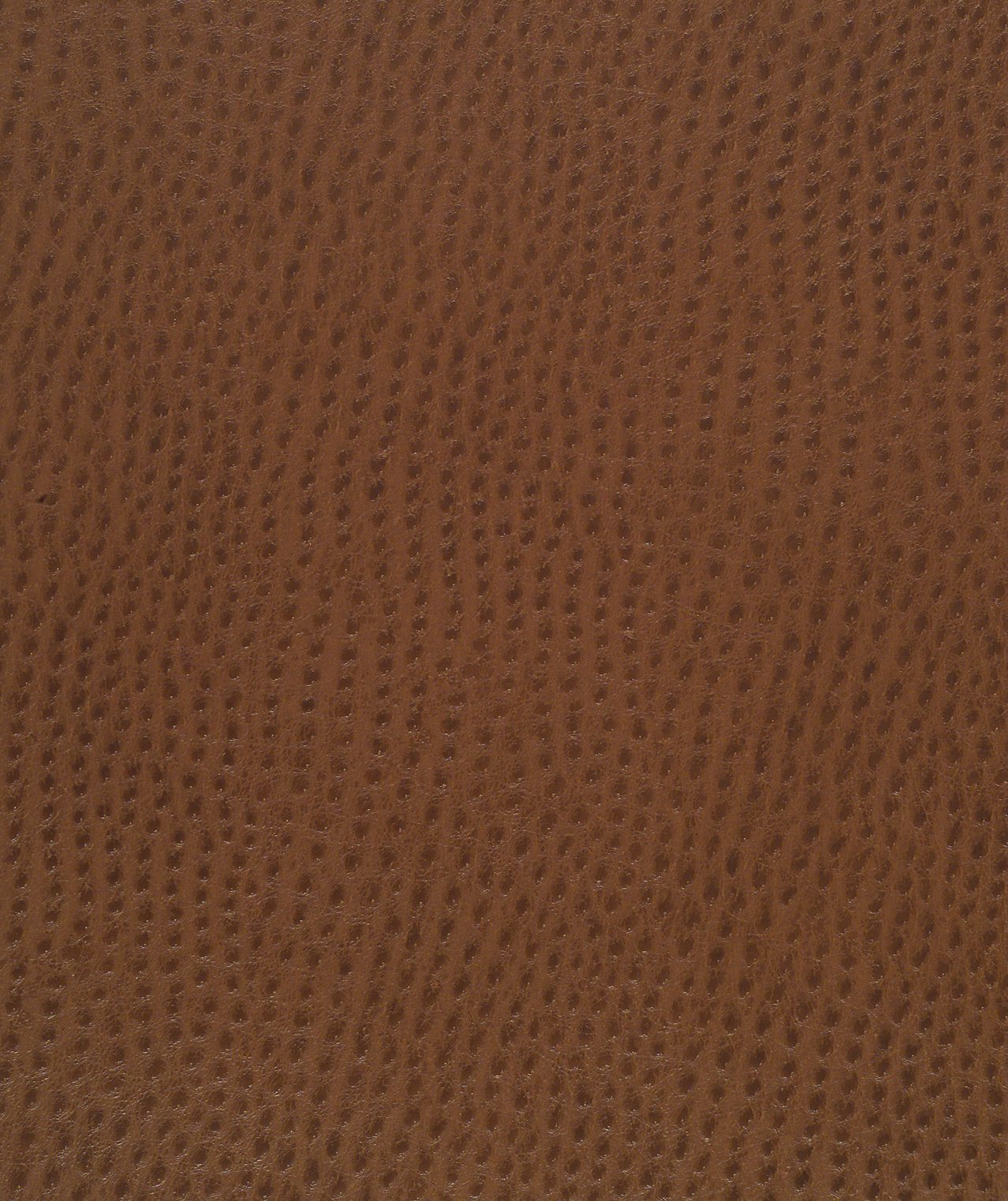Outback Saddle