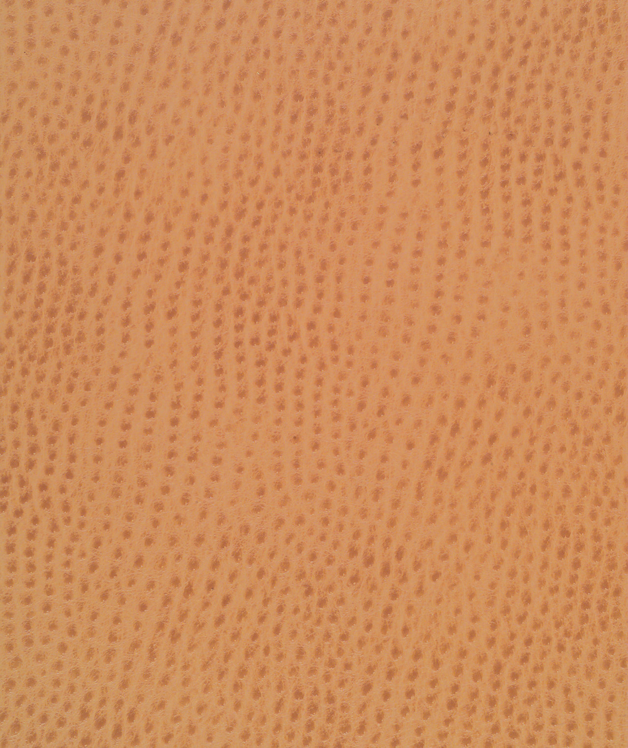 Outback Spice