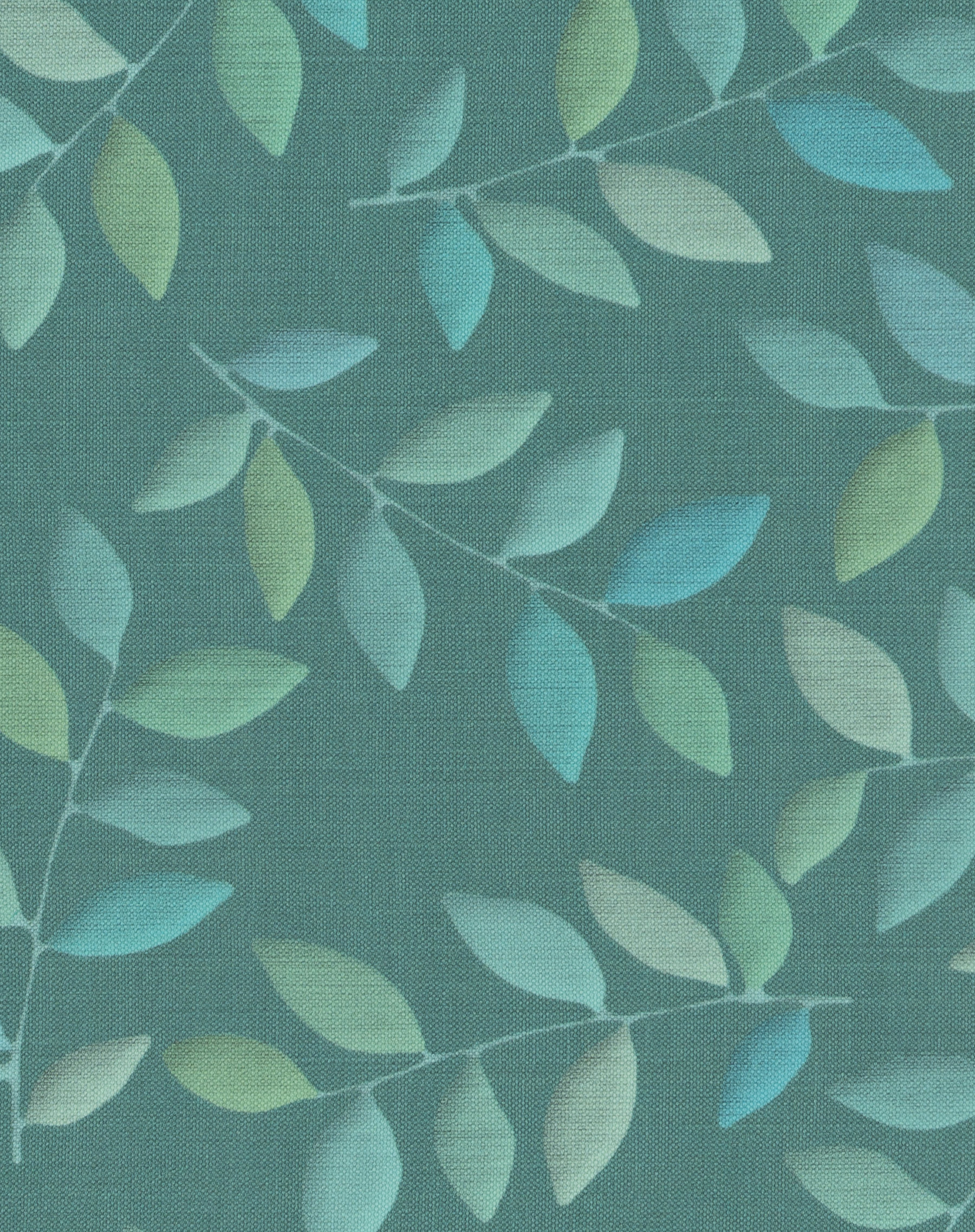 Pavilion Eucalyptus