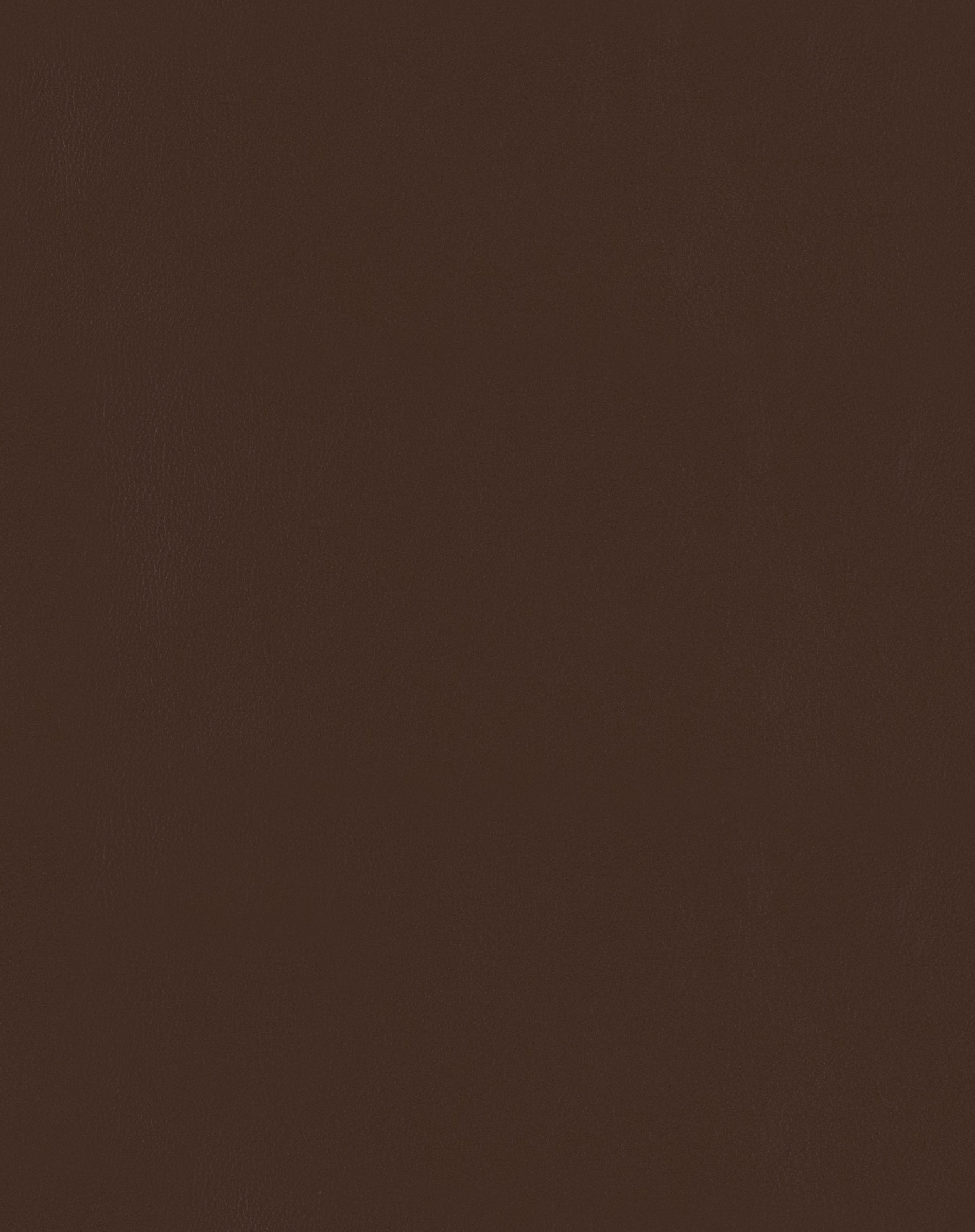Prospect Chocolate