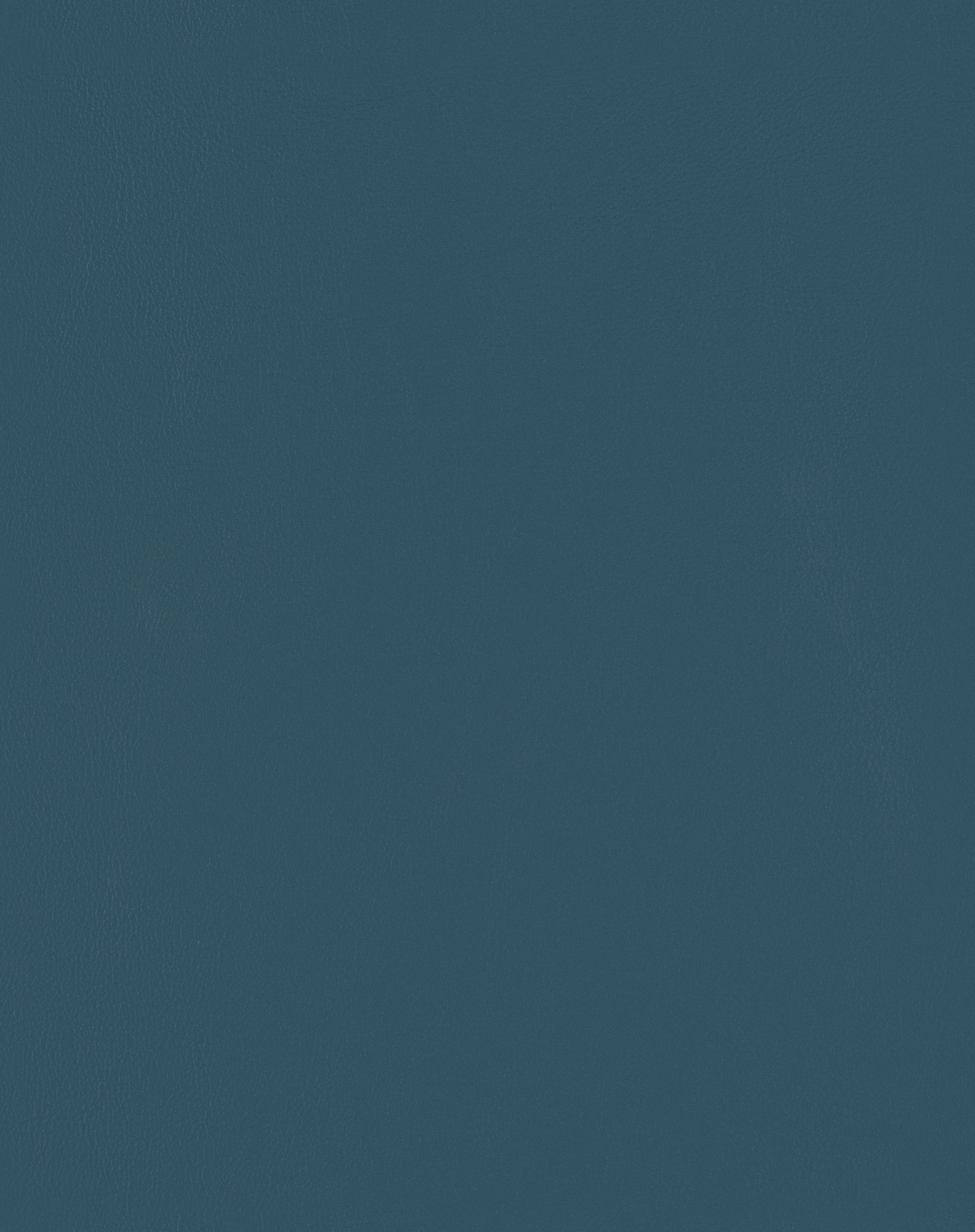 Prospect Ocean