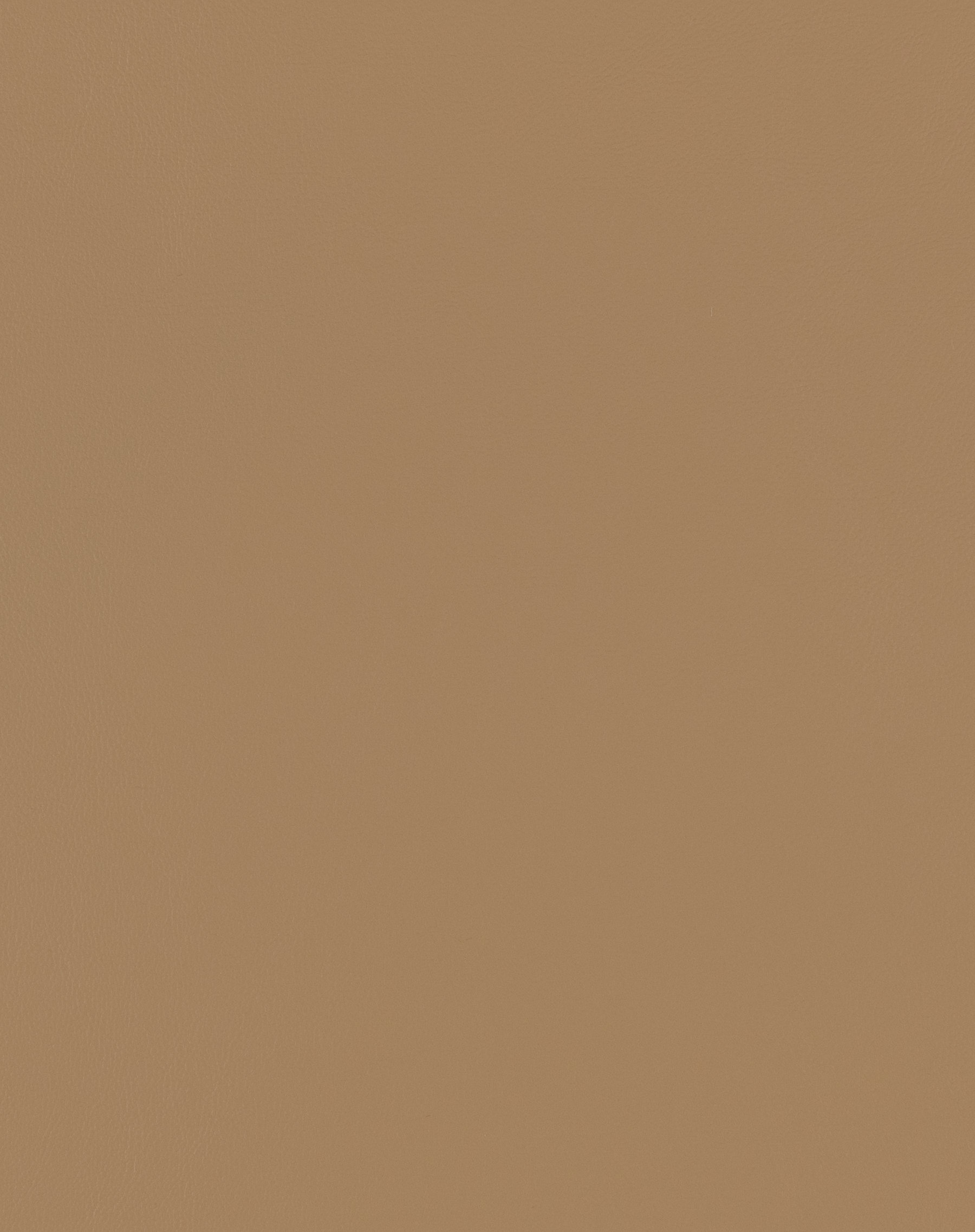 Prospect Wheat