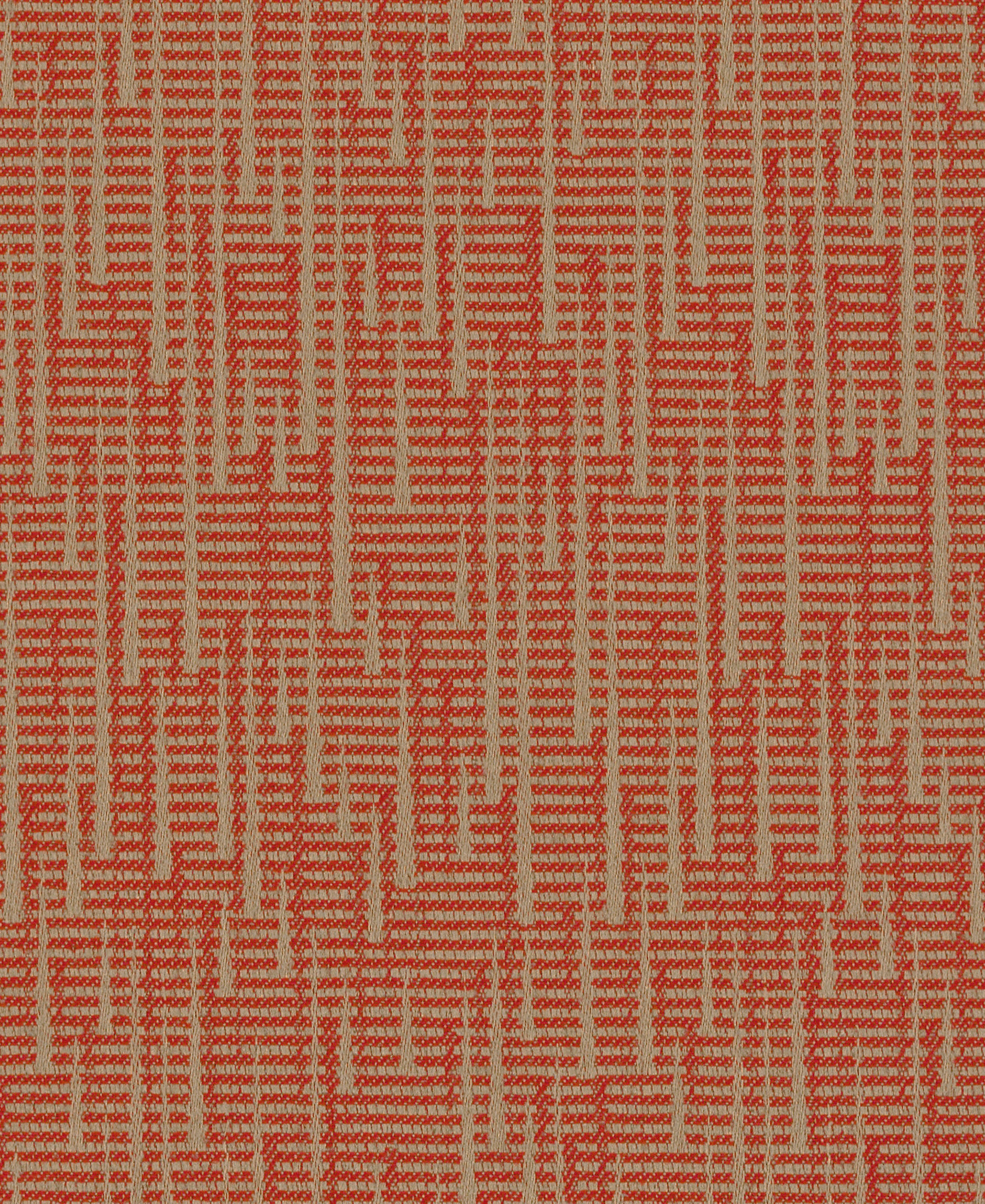 Rumba Cinnabar