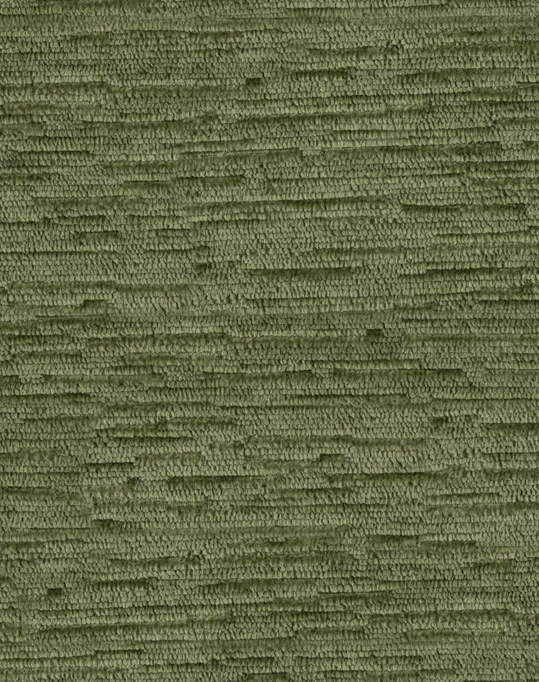Sanctuary Palmetto