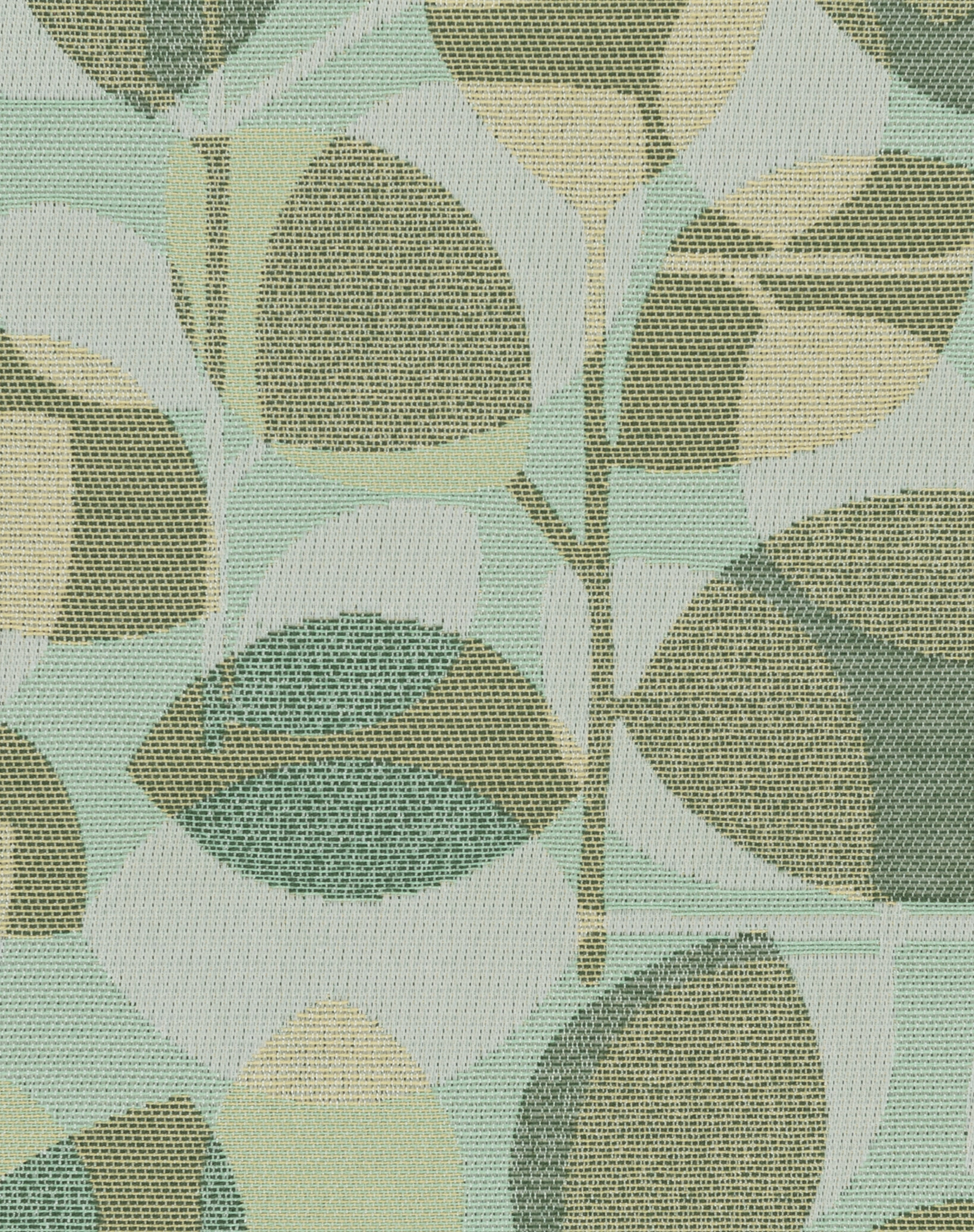 Sequoia Bamboo