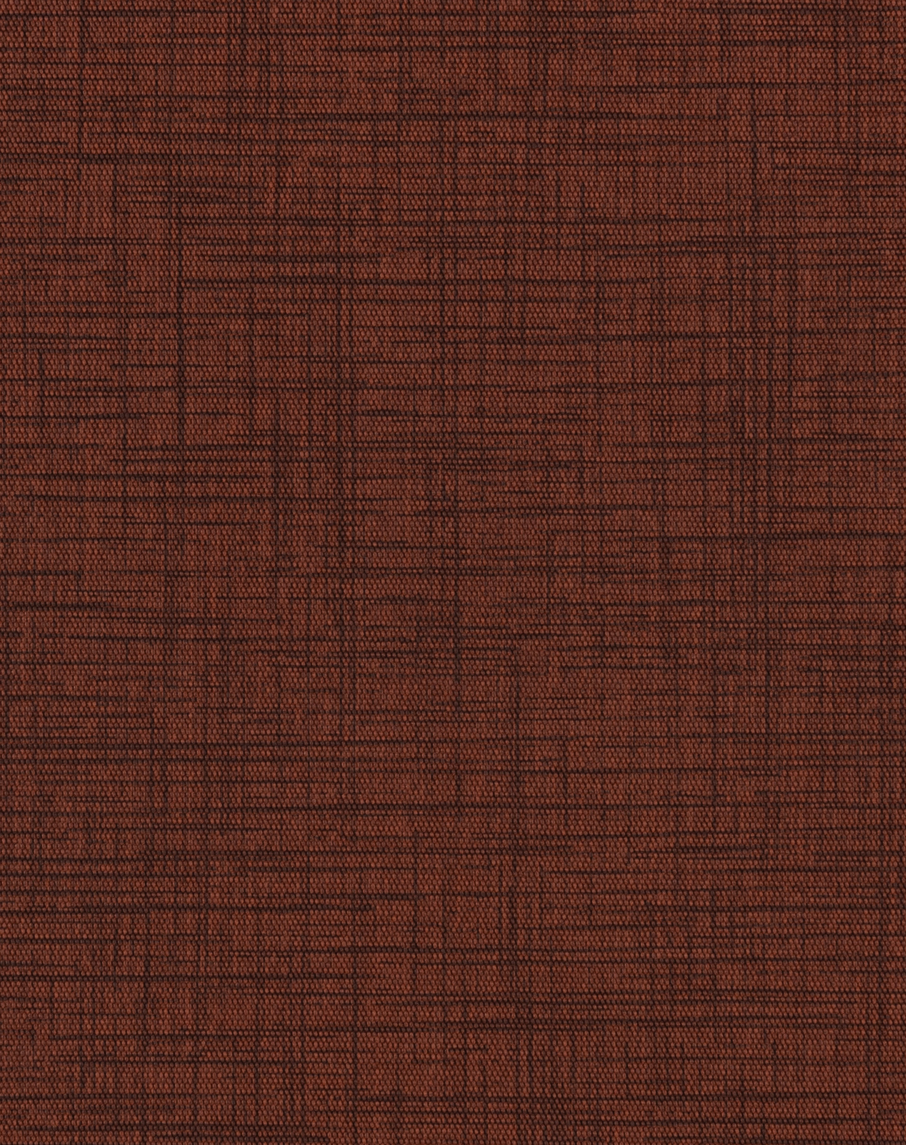 Sketch Russet
