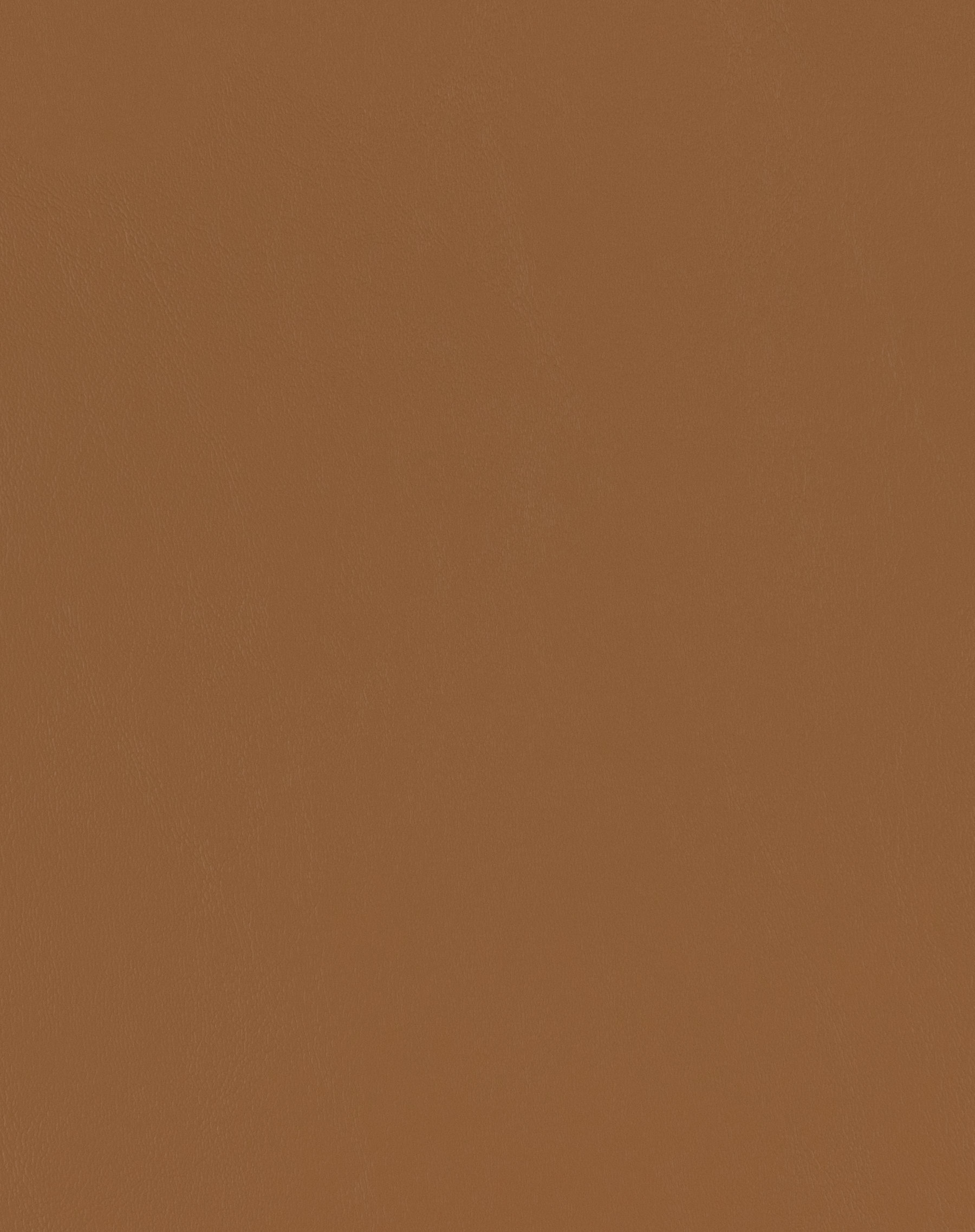 Spartan Caramel