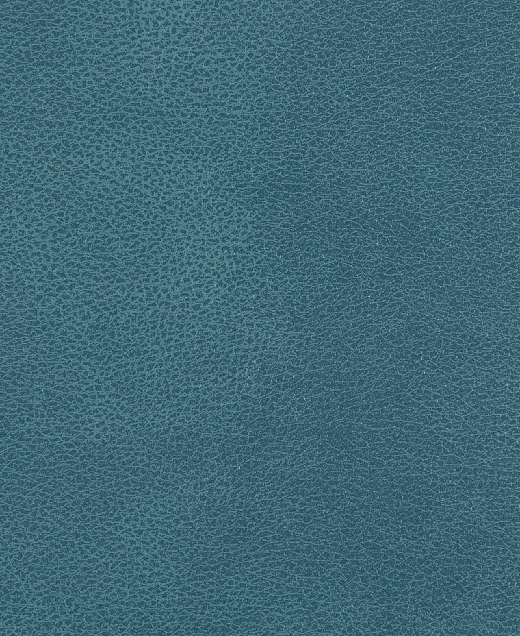 Splendor Pacific