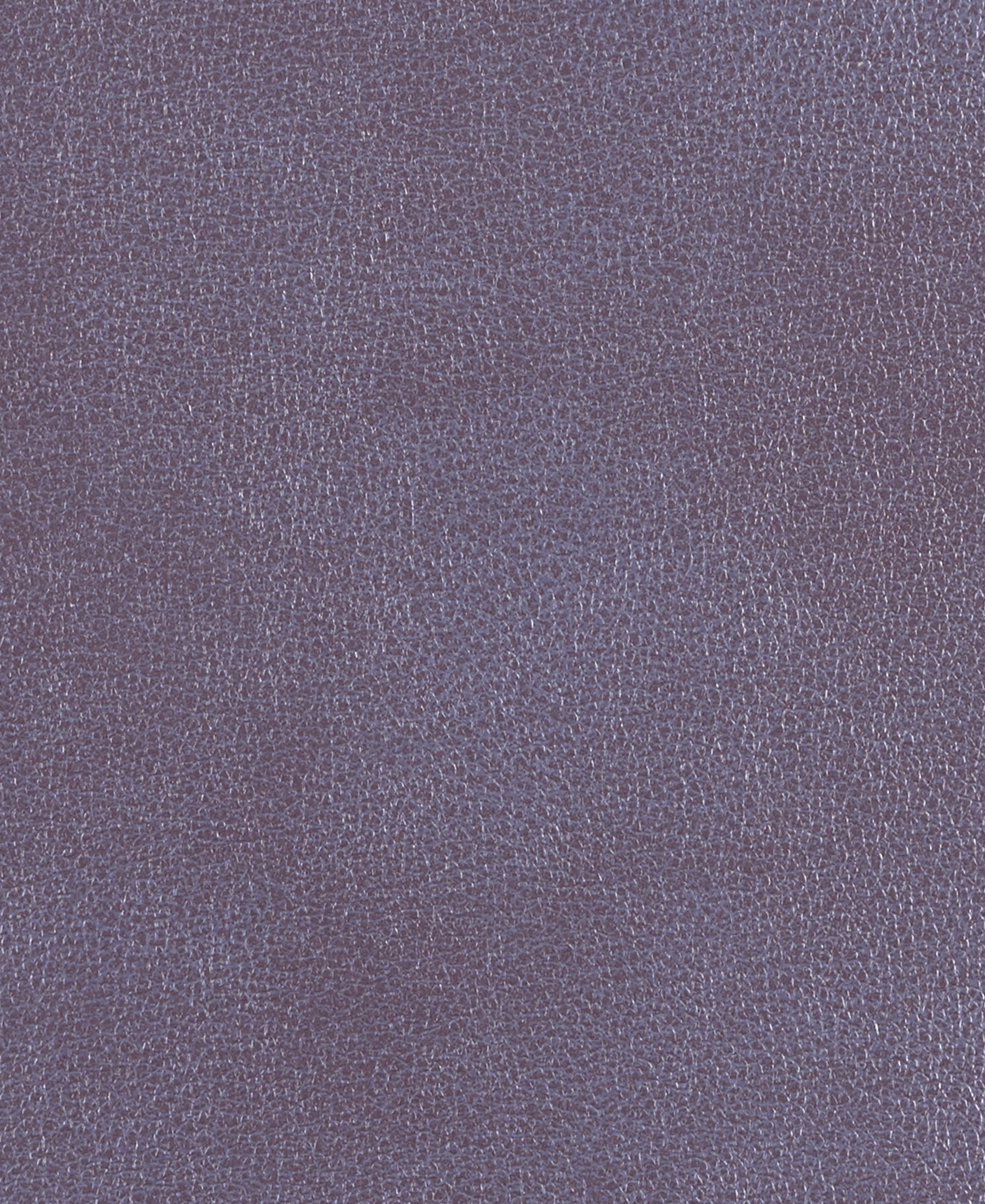 Splendor Lavender