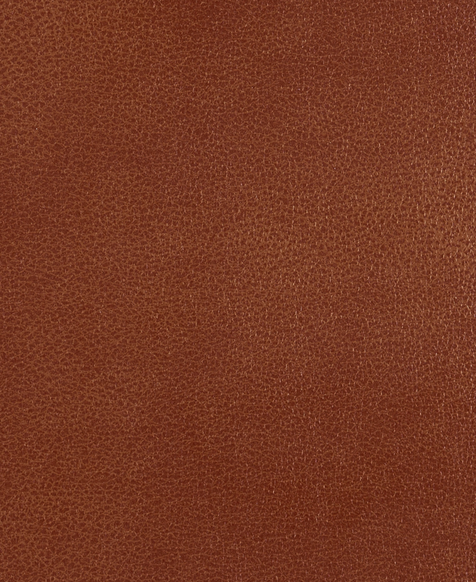 Splendor Penny