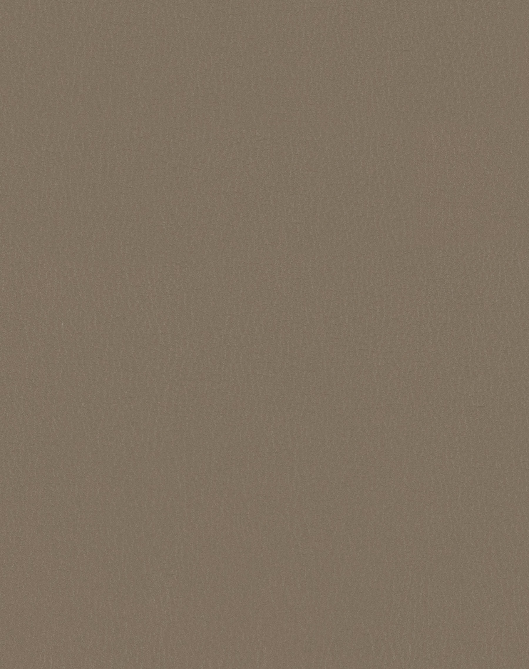 Terra Papyrus