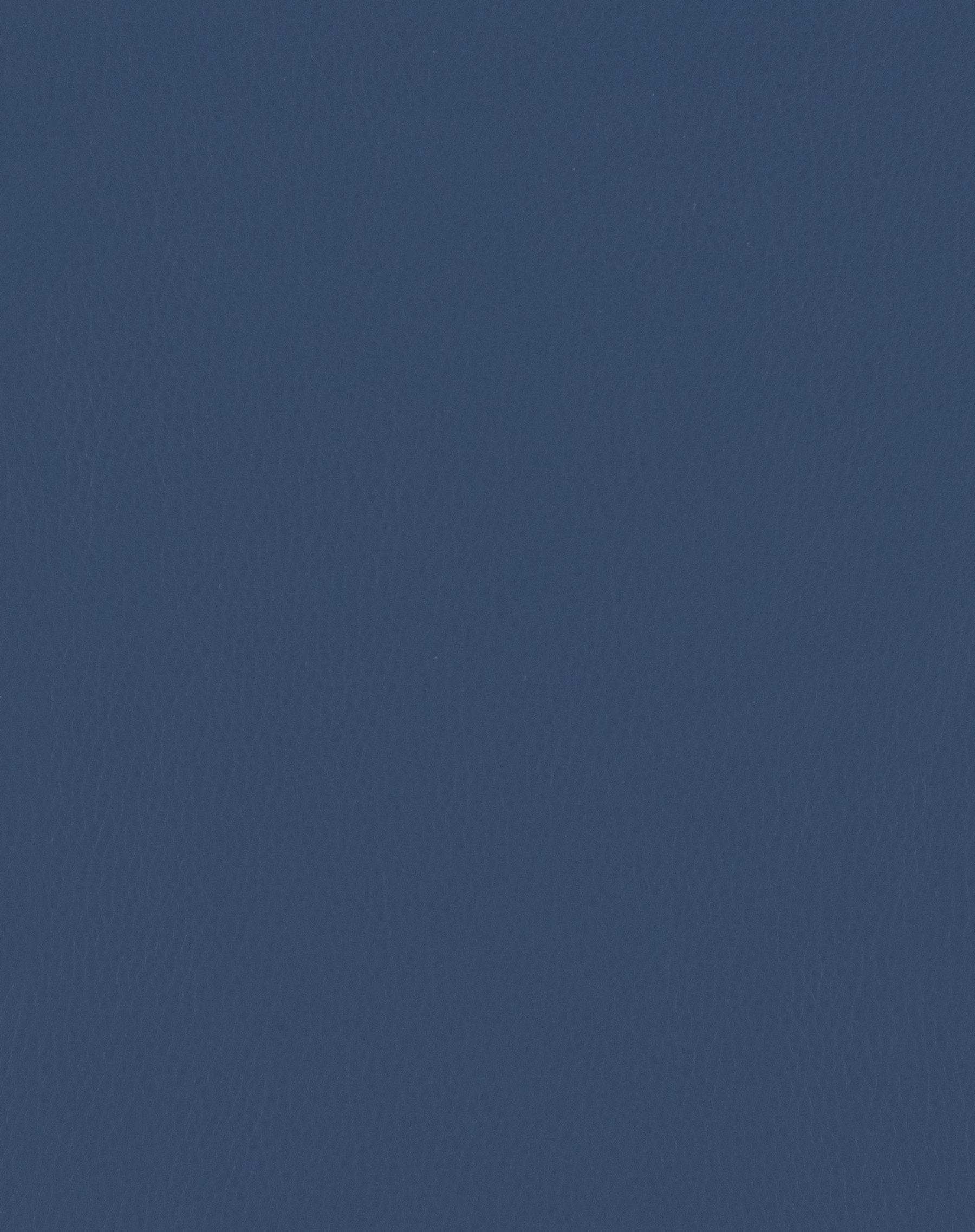 Ultrahide Denim