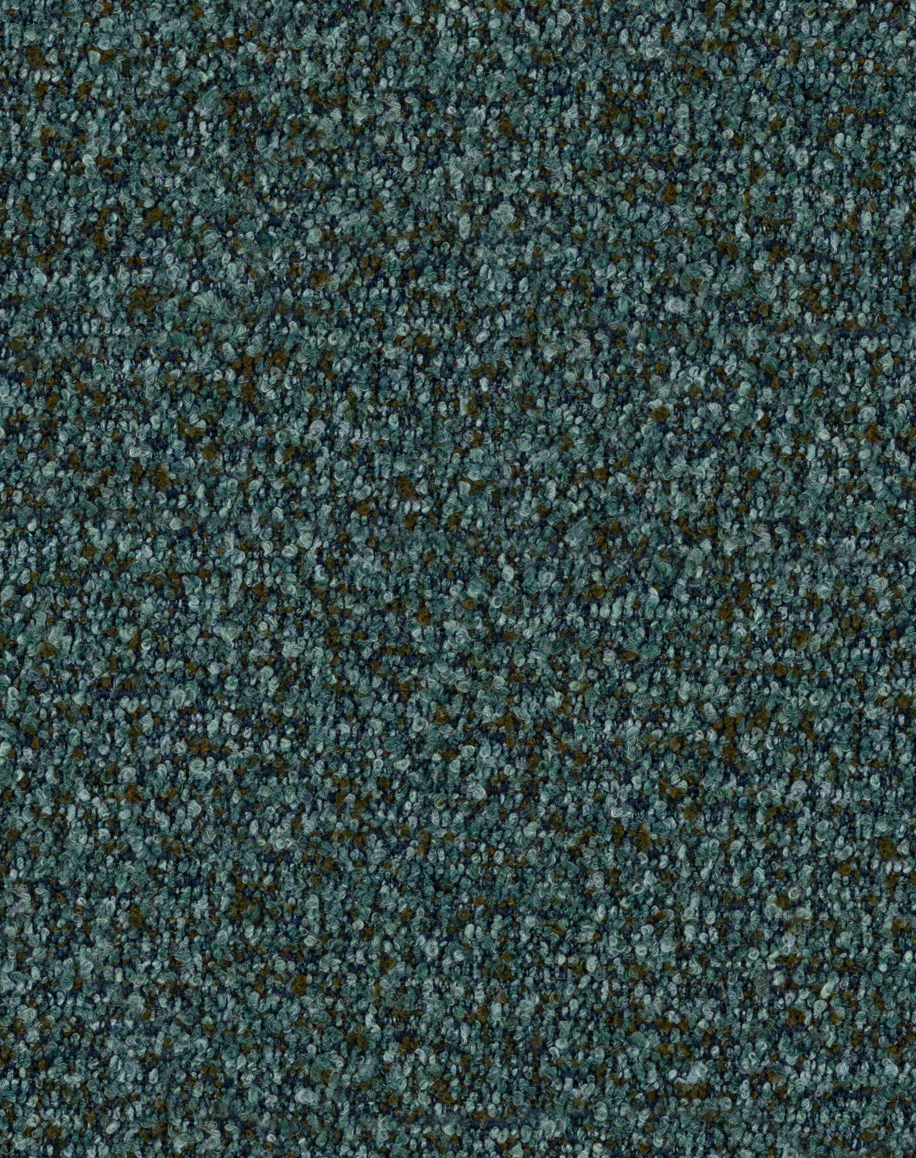Utopia Spruce
