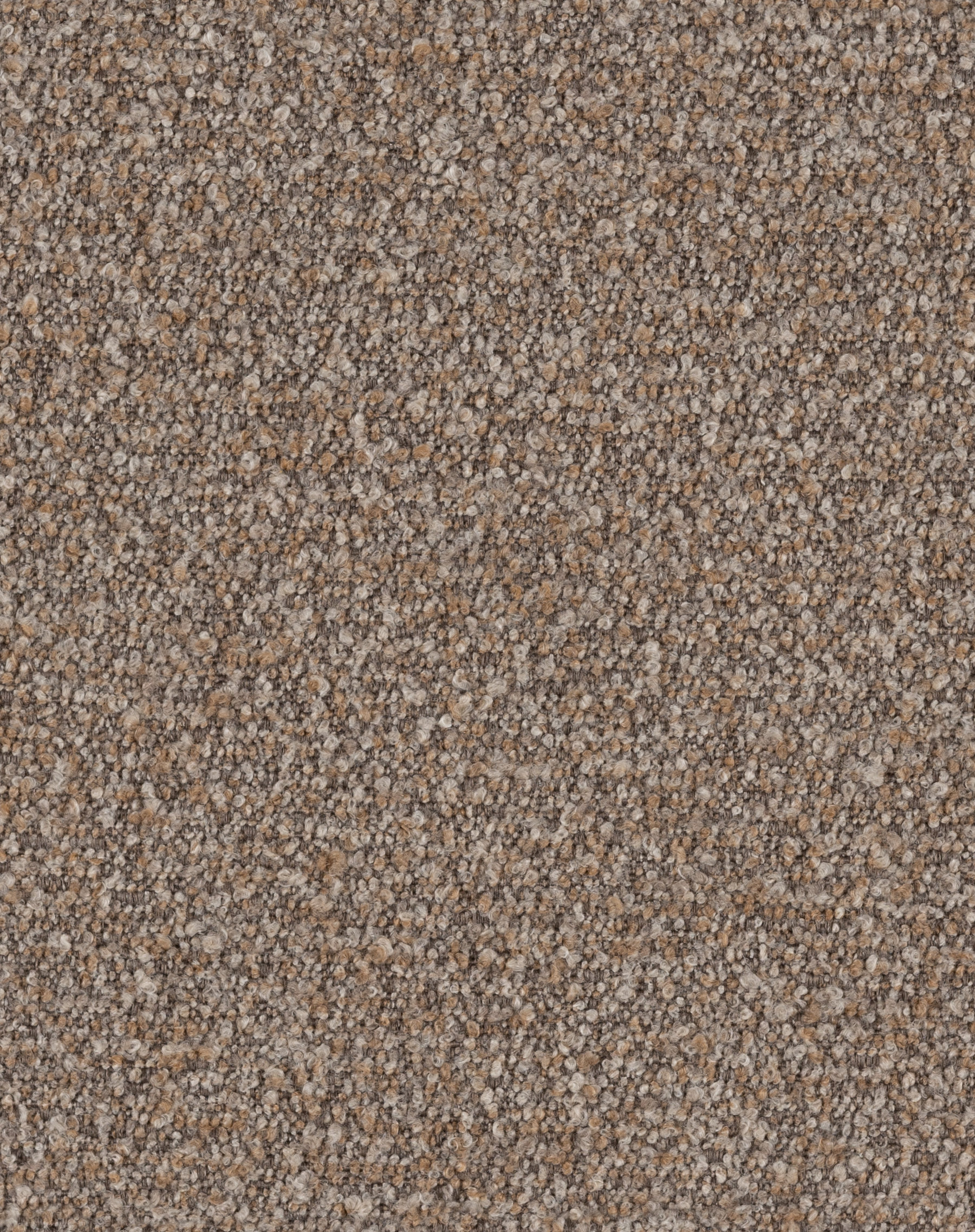 Utopia Fossil