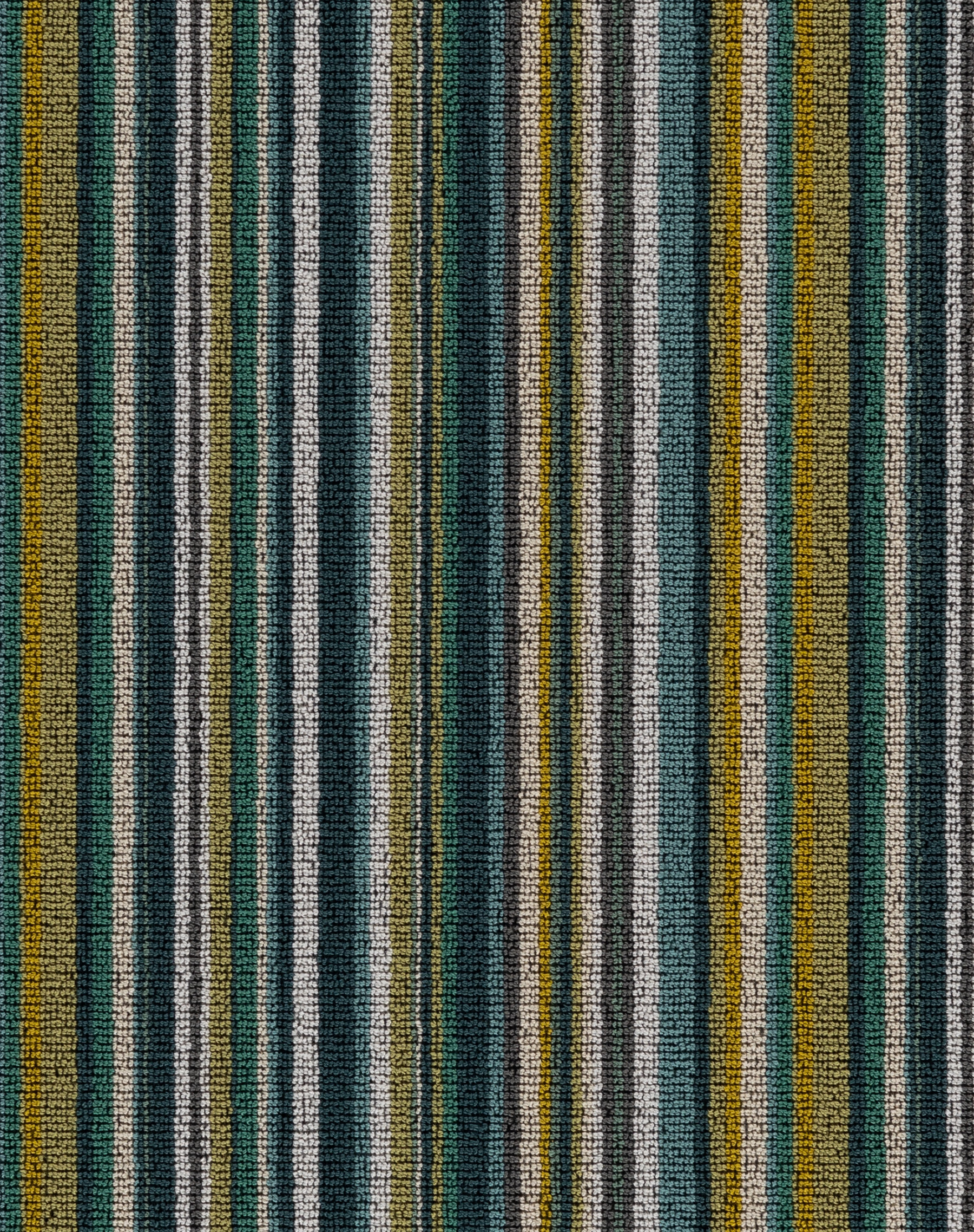 Vista Forest
