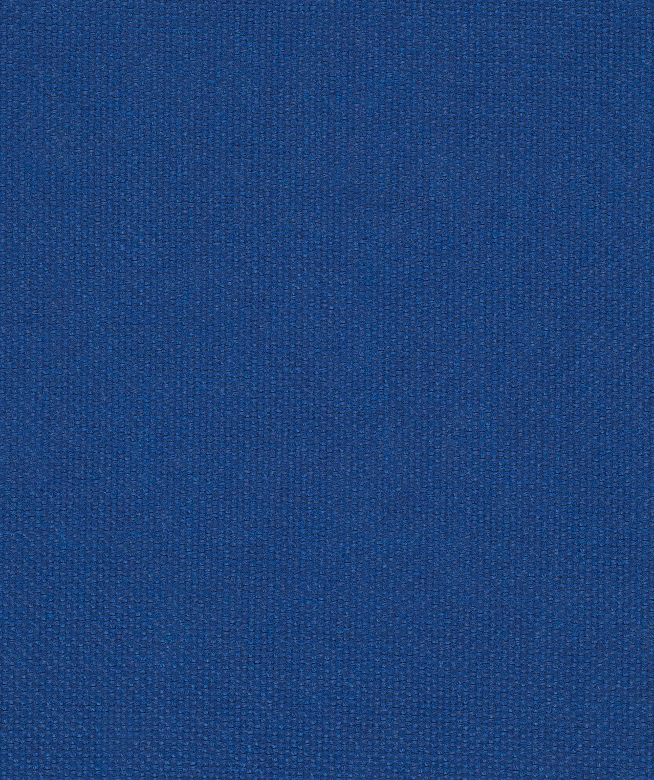Equal Cobalt Accent